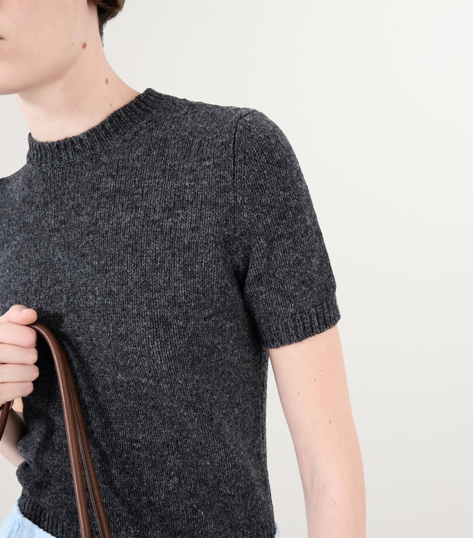 Cashmere Short-Sleeve Sweater F0480 Image 6