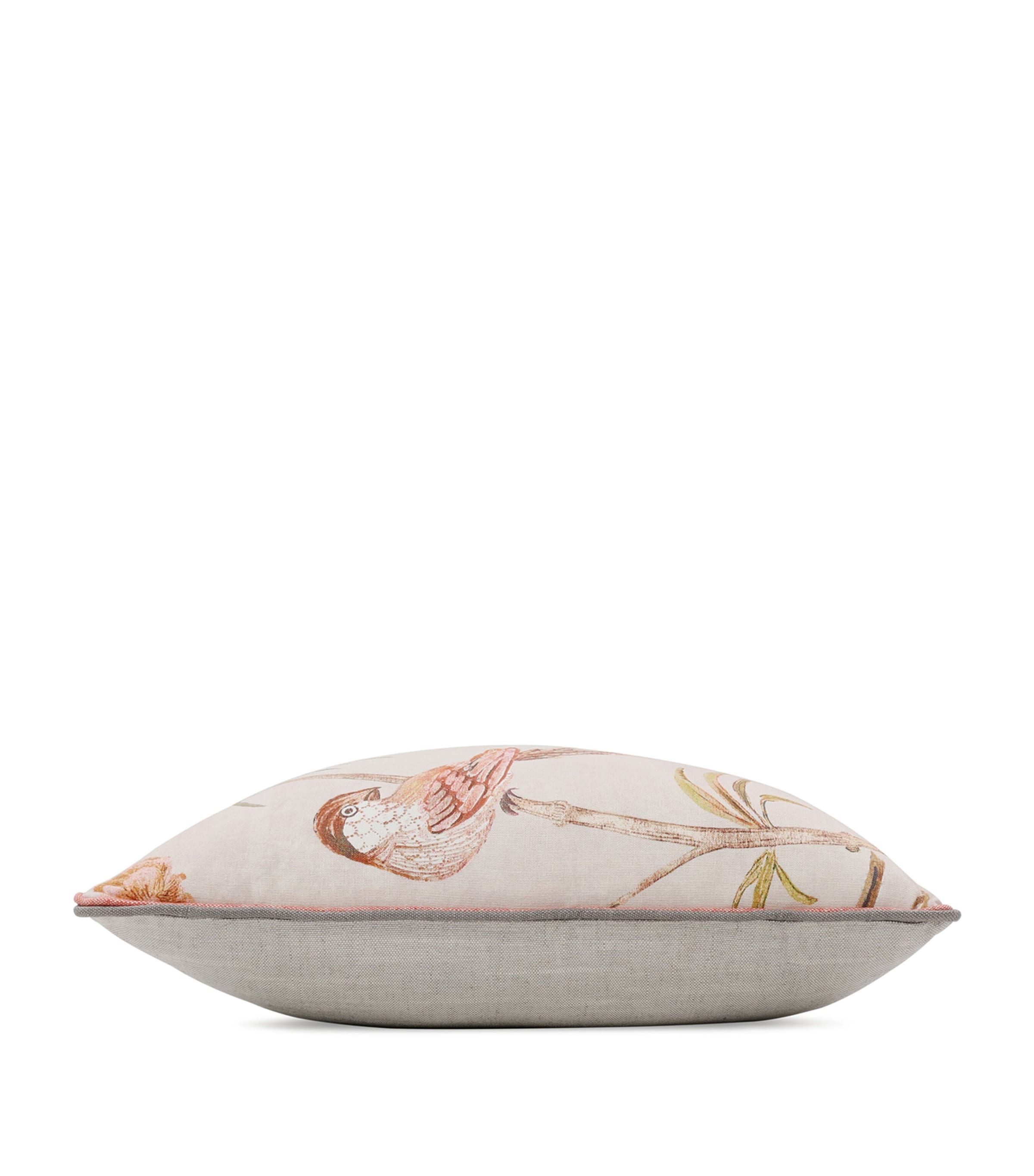 Romo Pluma Blush Cushion (50cm x 50cm) | Home Furnishings | Cushions | 5295 Romo Pluma Blush Cushion (50cm x 50cm) | Home Furnishings | Cushions | 5295