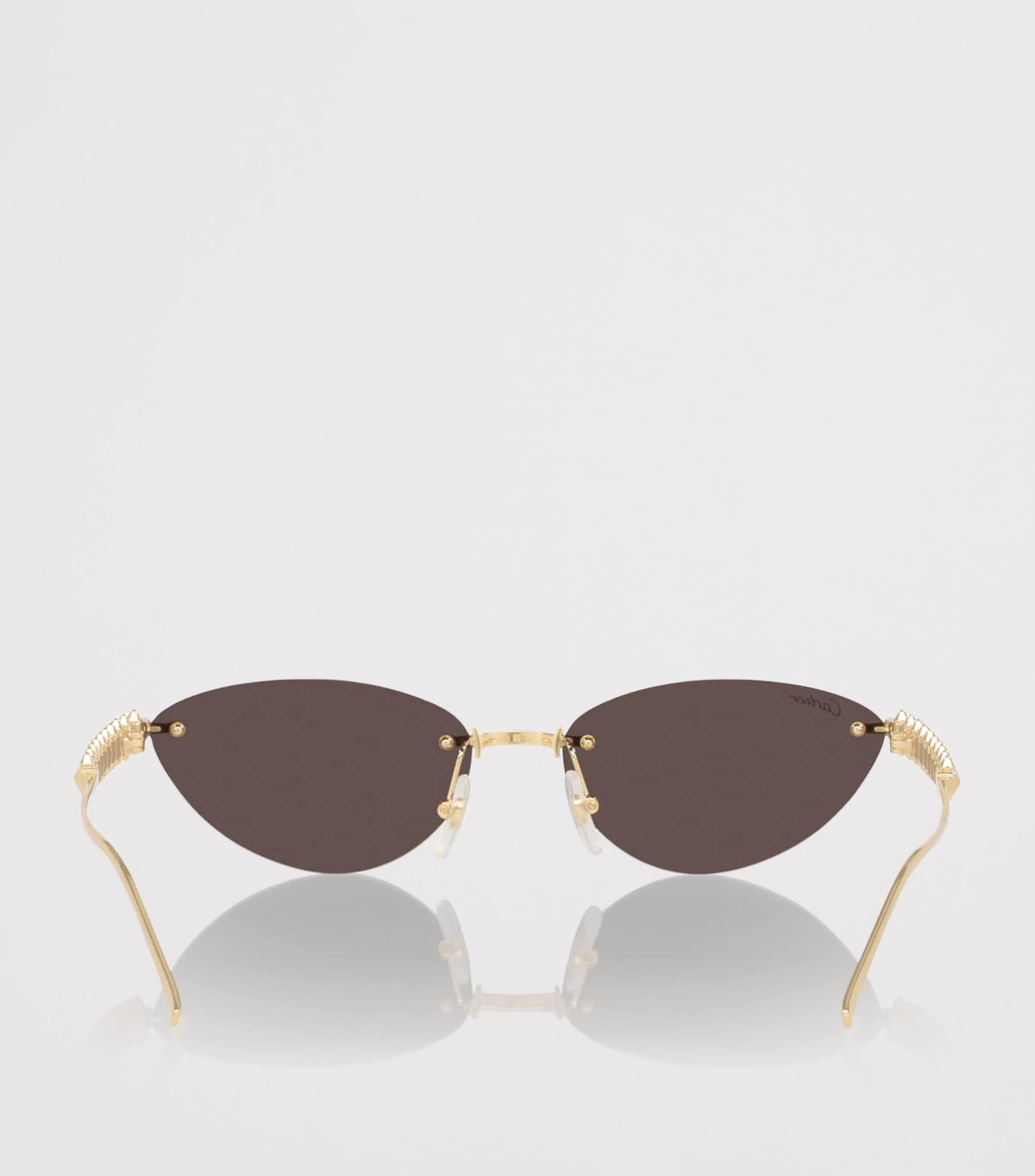 Cat Eye Sunglasses 2390L1 Image 4