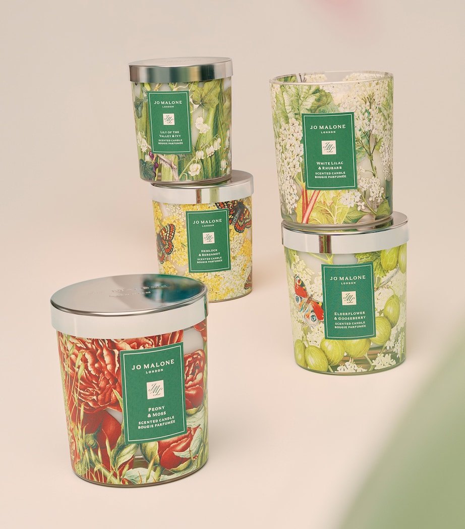 Elderflower & Gooseberry Charity Classic Candle (200g) NO COLOUR Image 3