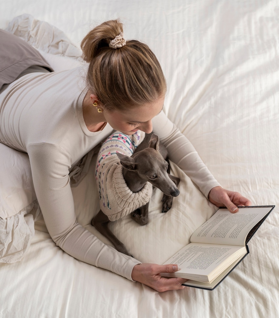 Alpaca-Blend Serendipity Dog Sweater BEIGE / PINK Image 4