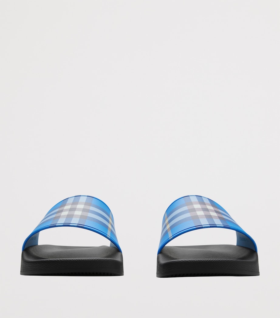 Check Slides HYACINTH IP CHECK Image 3