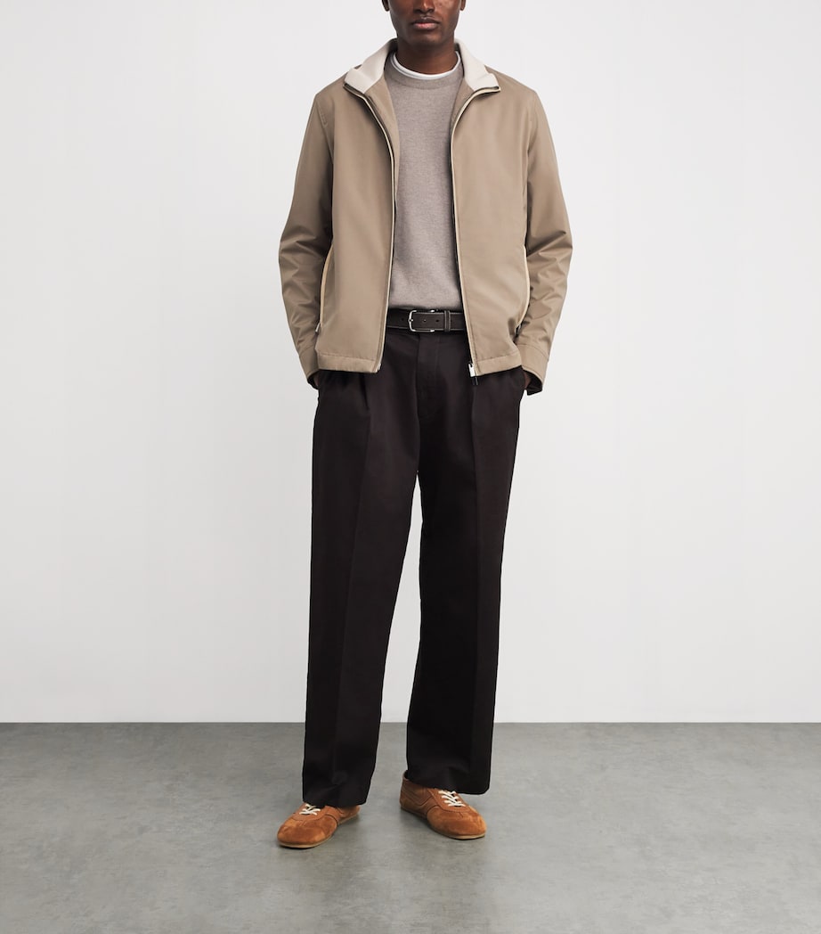 Suede Belt 494 CAFFEE Image 3