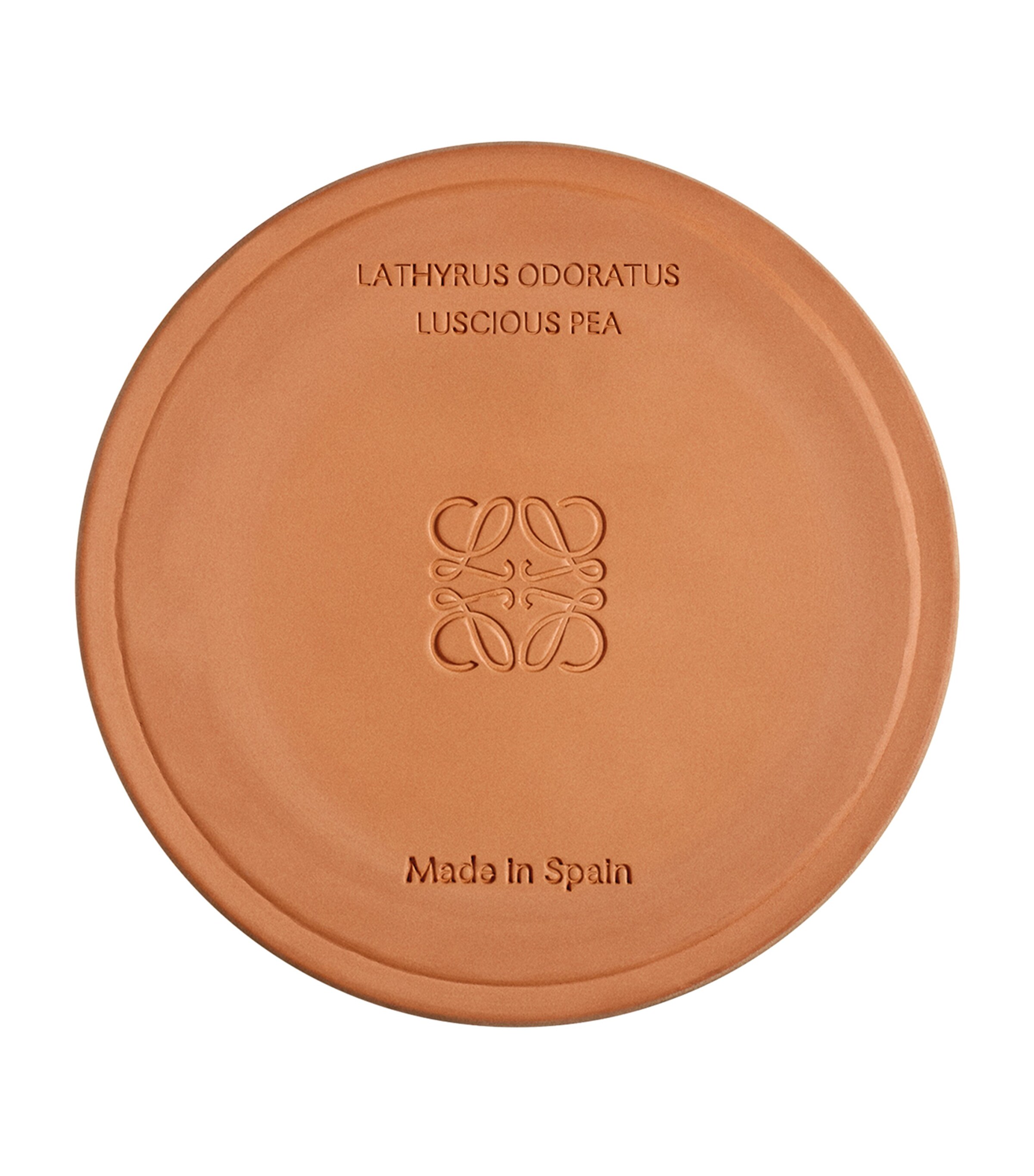 LOEWE Perfumes Medium Luscious Pea Candle (610g) | Harrods UK