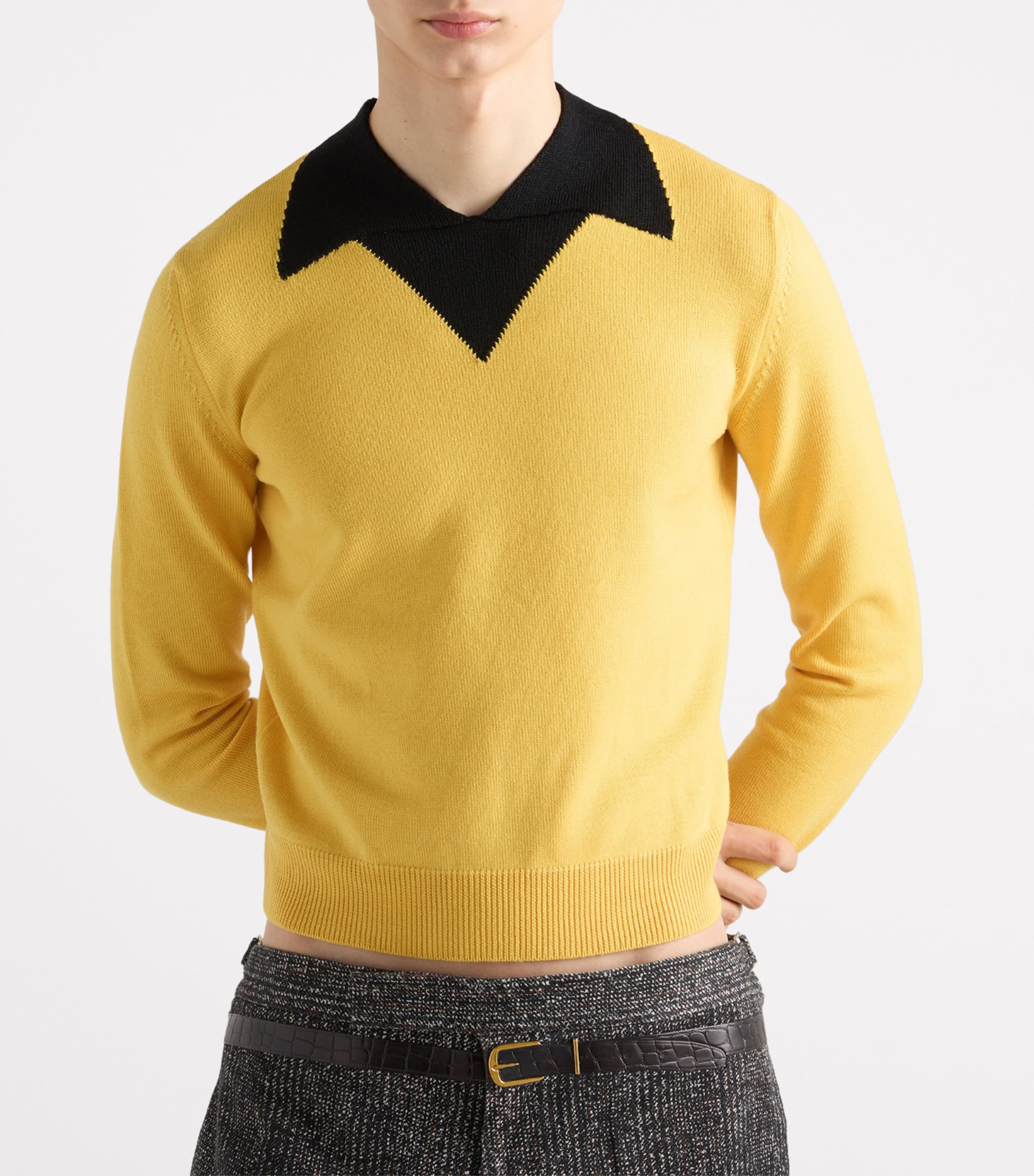 Wool Long-Sleeve Polo Shirt F0C5K Image 3