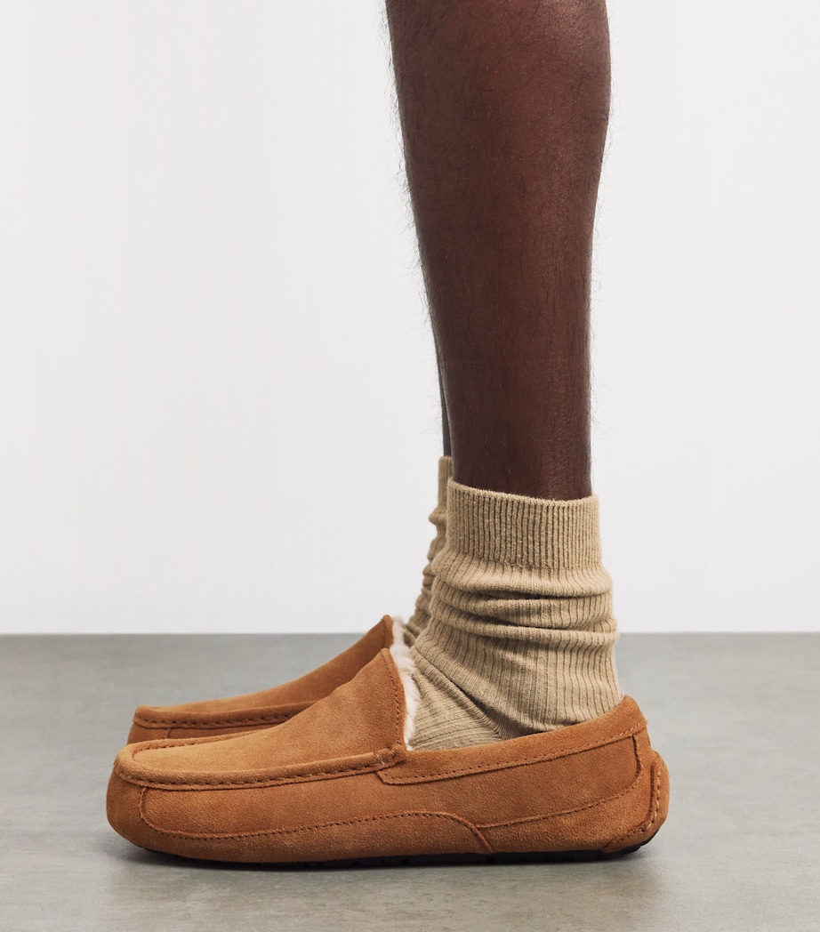 Suede Ascot Slippers BROWN Image 2