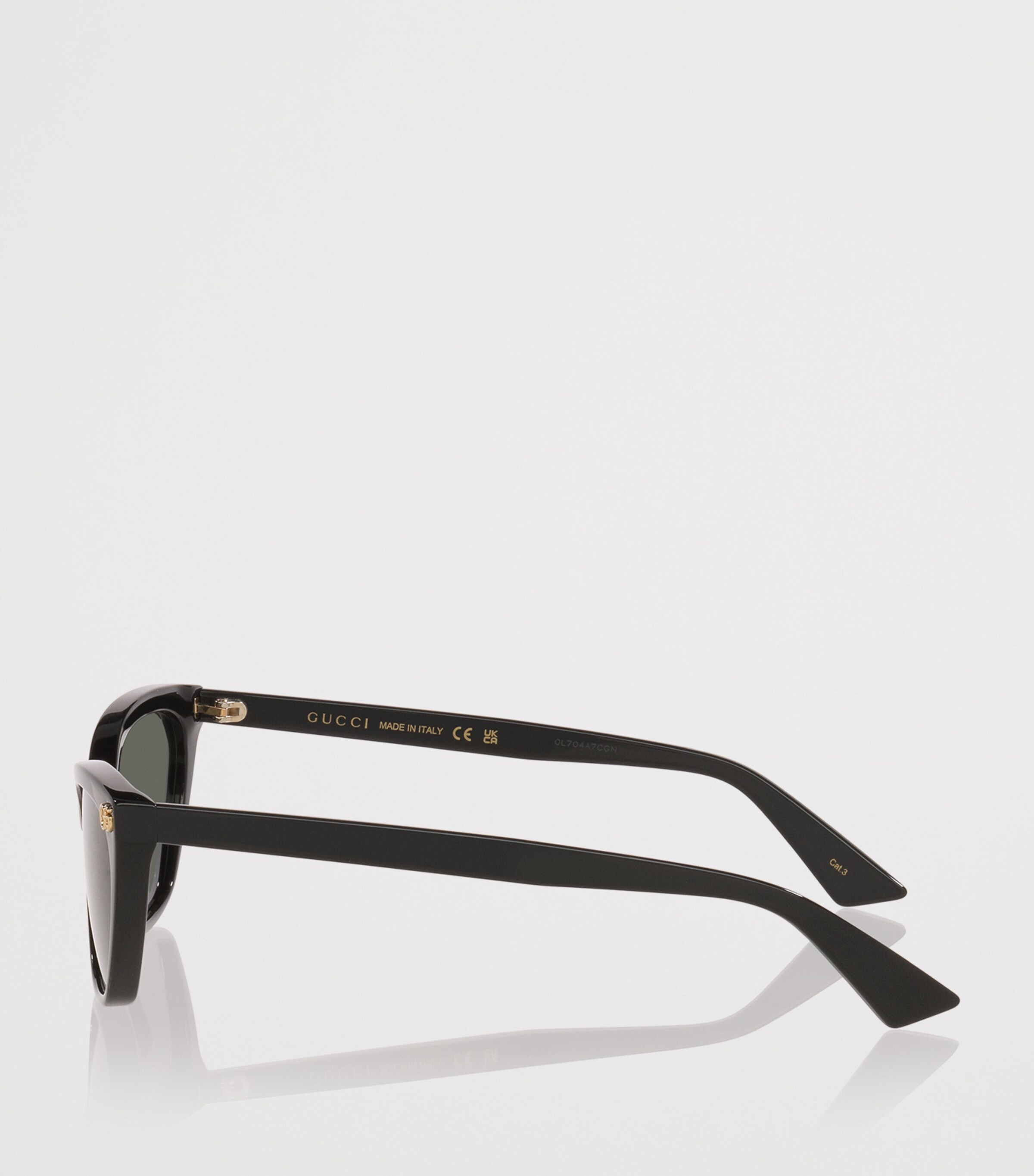 Acetate Cat Eye Sunglasses 1100B2 Image 3