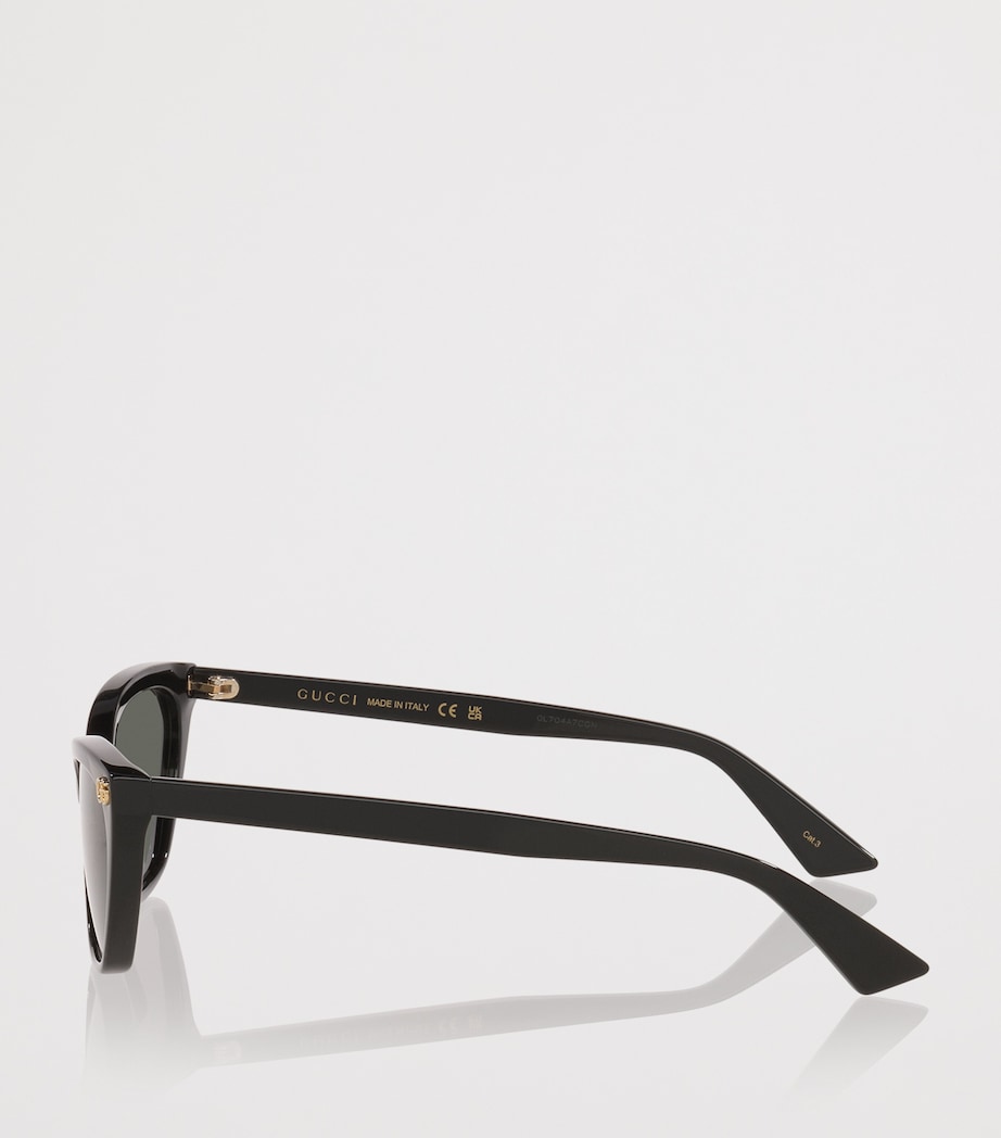 Acetate Cat Eye Sunglasses 1100B2 Image 3
