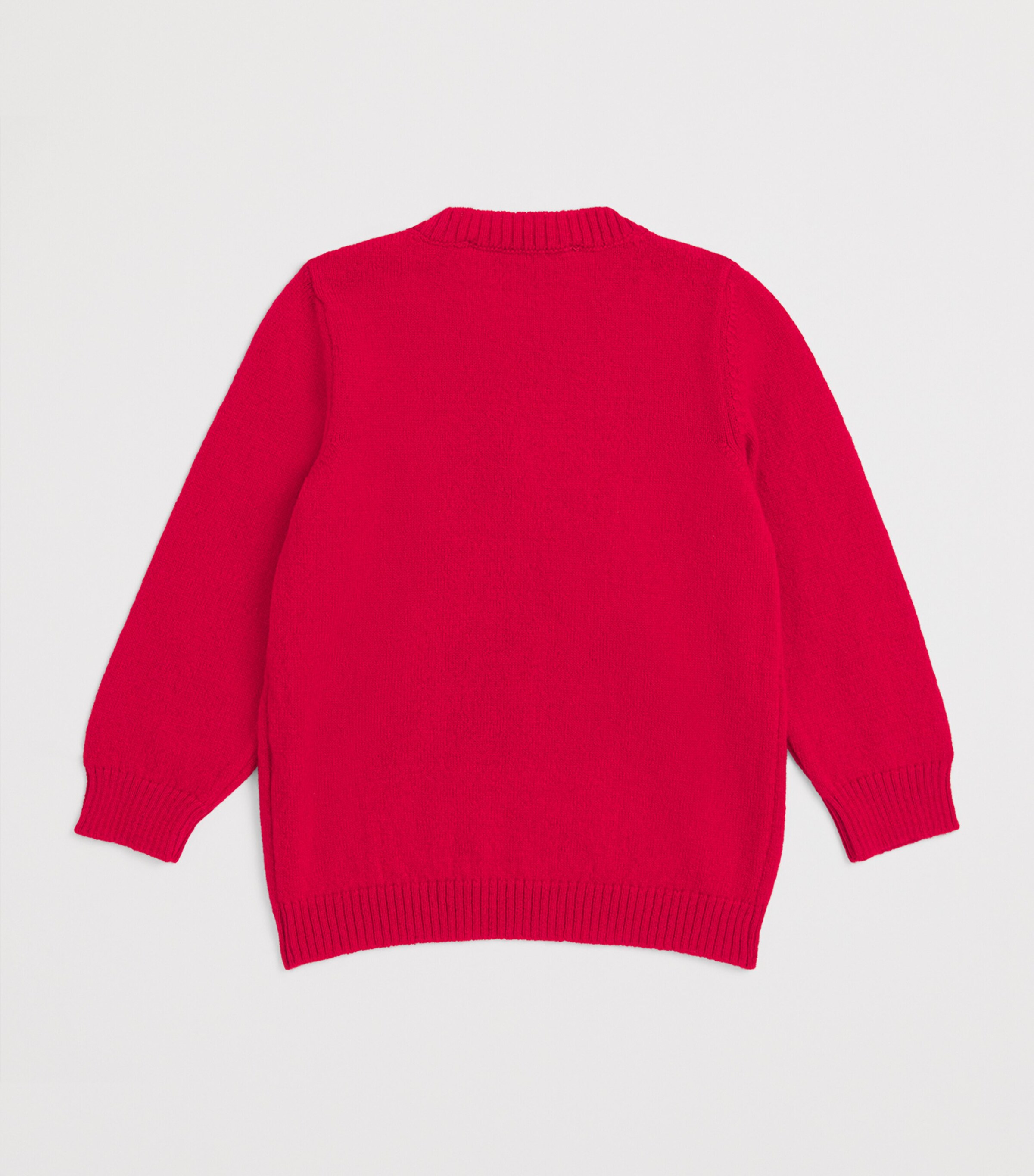 Dog and Cat Christmas Sweatshirt (3-28 Months) S1 ROSSO Image 2