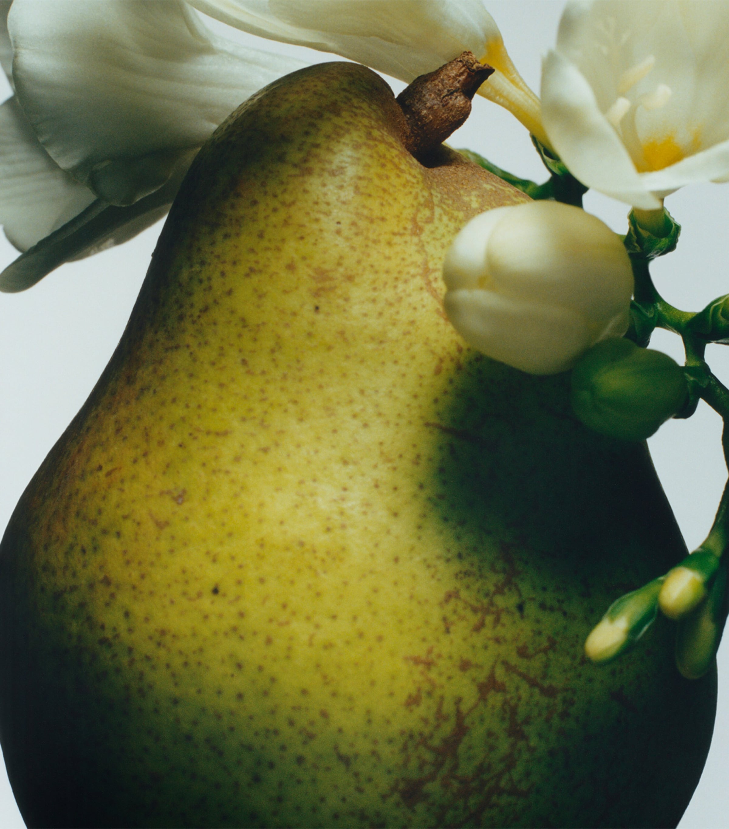 English Pear & Freesia Classic Candle (200g) NO COLOUR Image 3