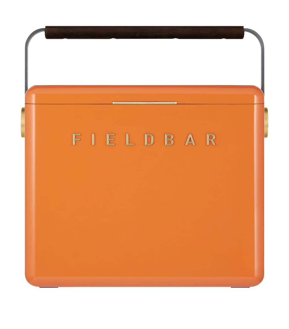 Gin Trunk Cooler Box ORCHARD ORANGE Image 1