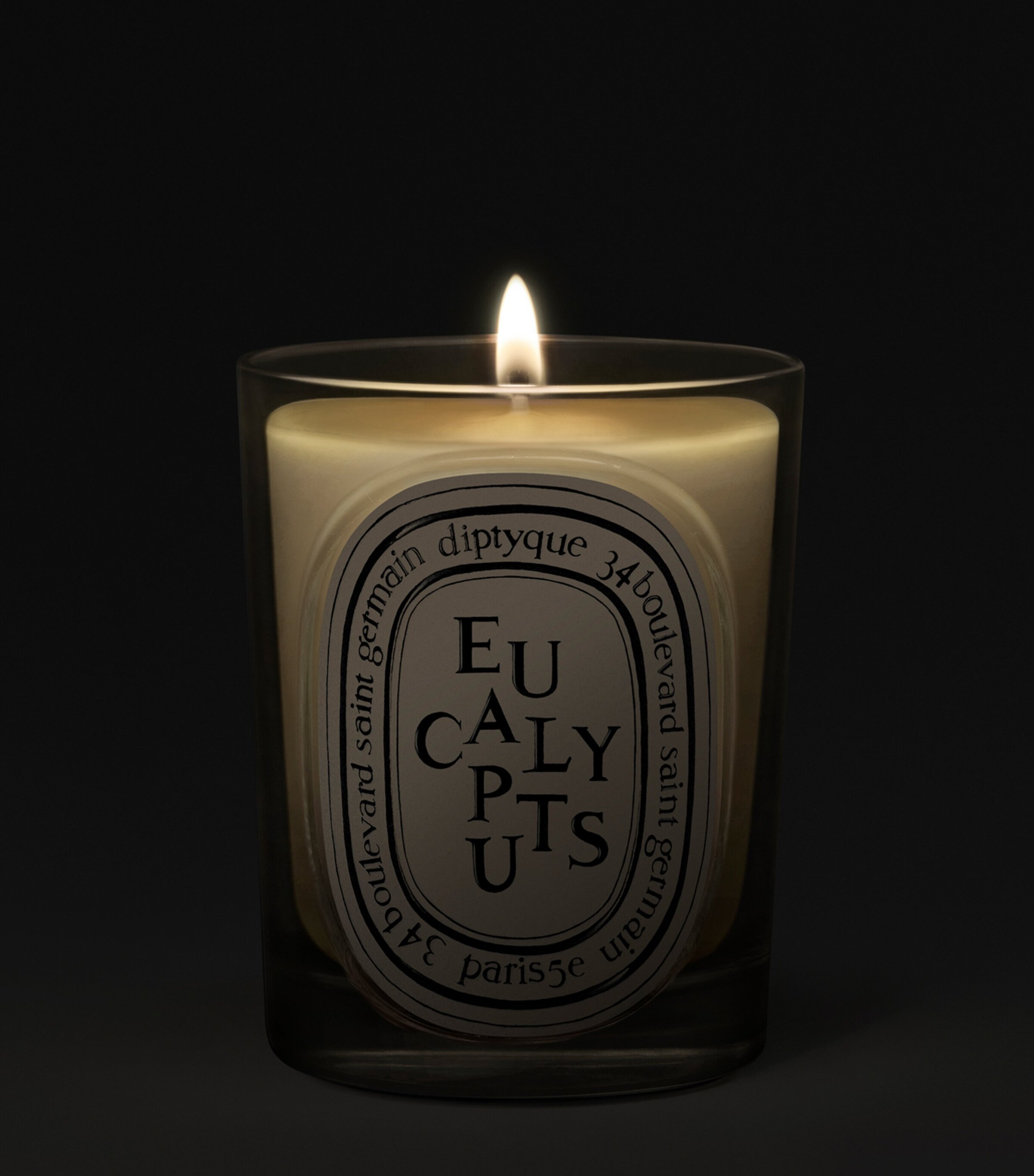 Diptyque Eucalyptus Candle (190g) | Harrods US