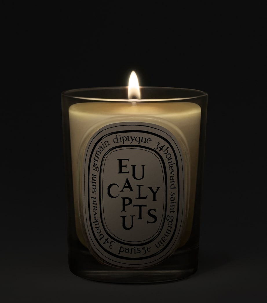 Diptyque Eucalyptus Candle (190g) Image 2