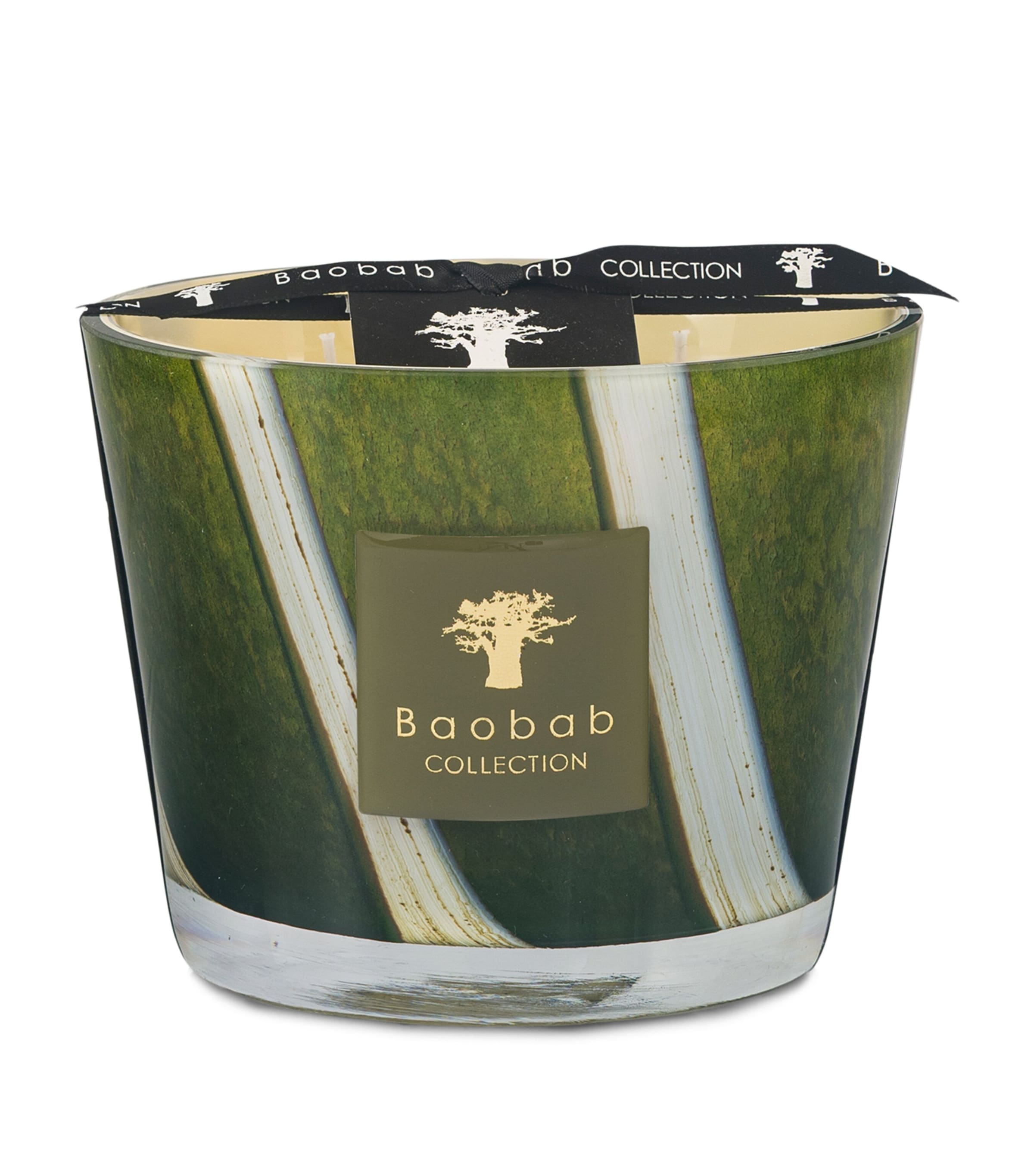 Baobab Collection Sherwood Woods Candle In Green