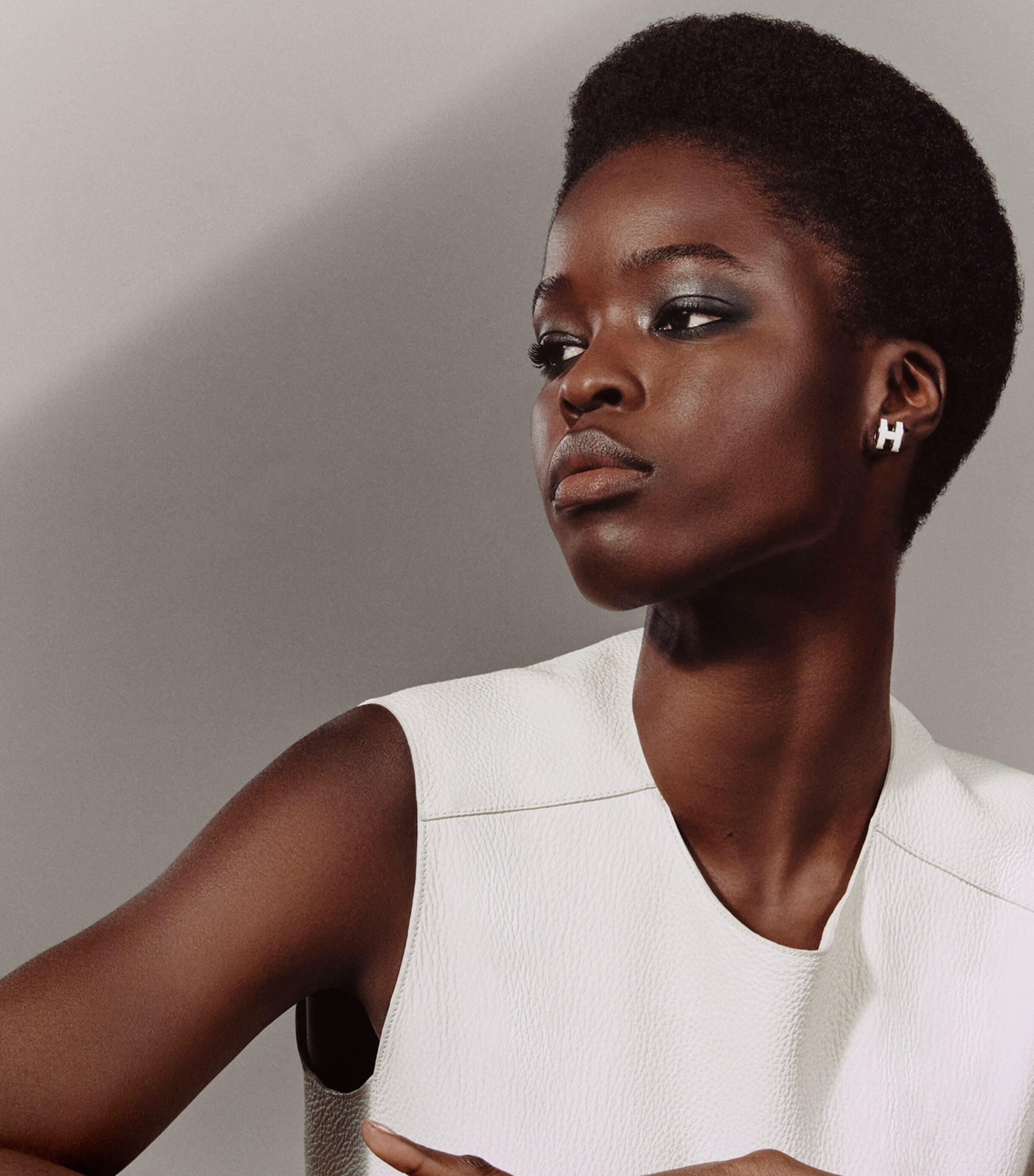 Ombres d'Hermès Eyeshadow Quartet 05 OMBRES FUMEES Image 9