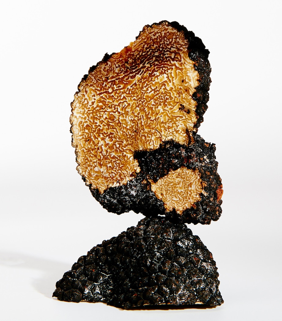 Earth Eau de Parfum (100ml) NO COLOUR Image 3