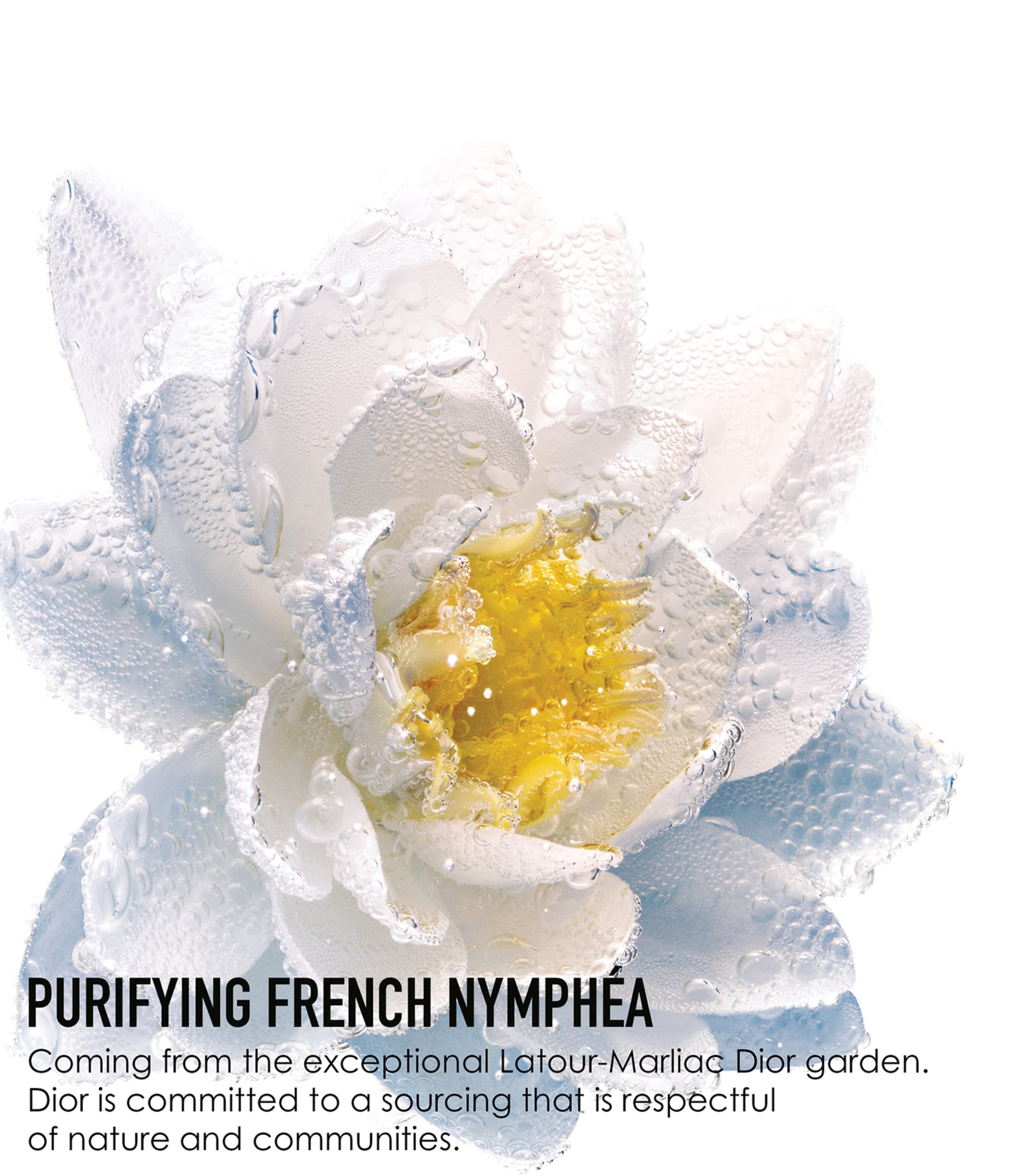 Purifying Nymphéa-Infused Micellar Water (200ml) CLEAR Image 5