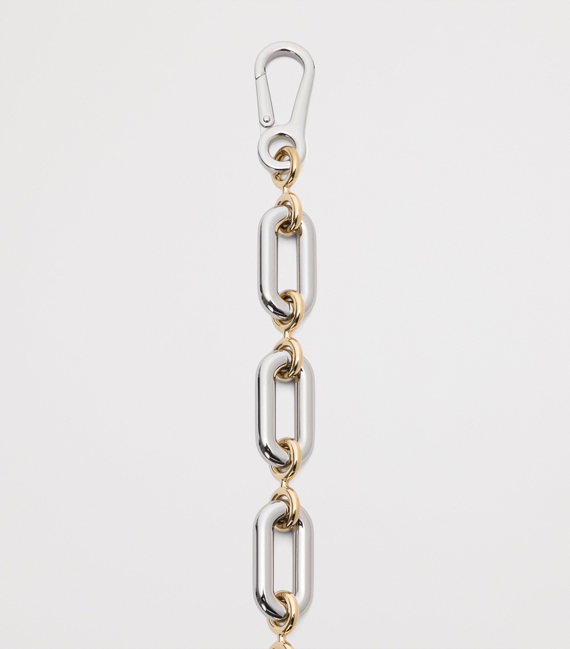 LOEWE Donut Chain Bag Strap (30cm) Silver/gold Image 2