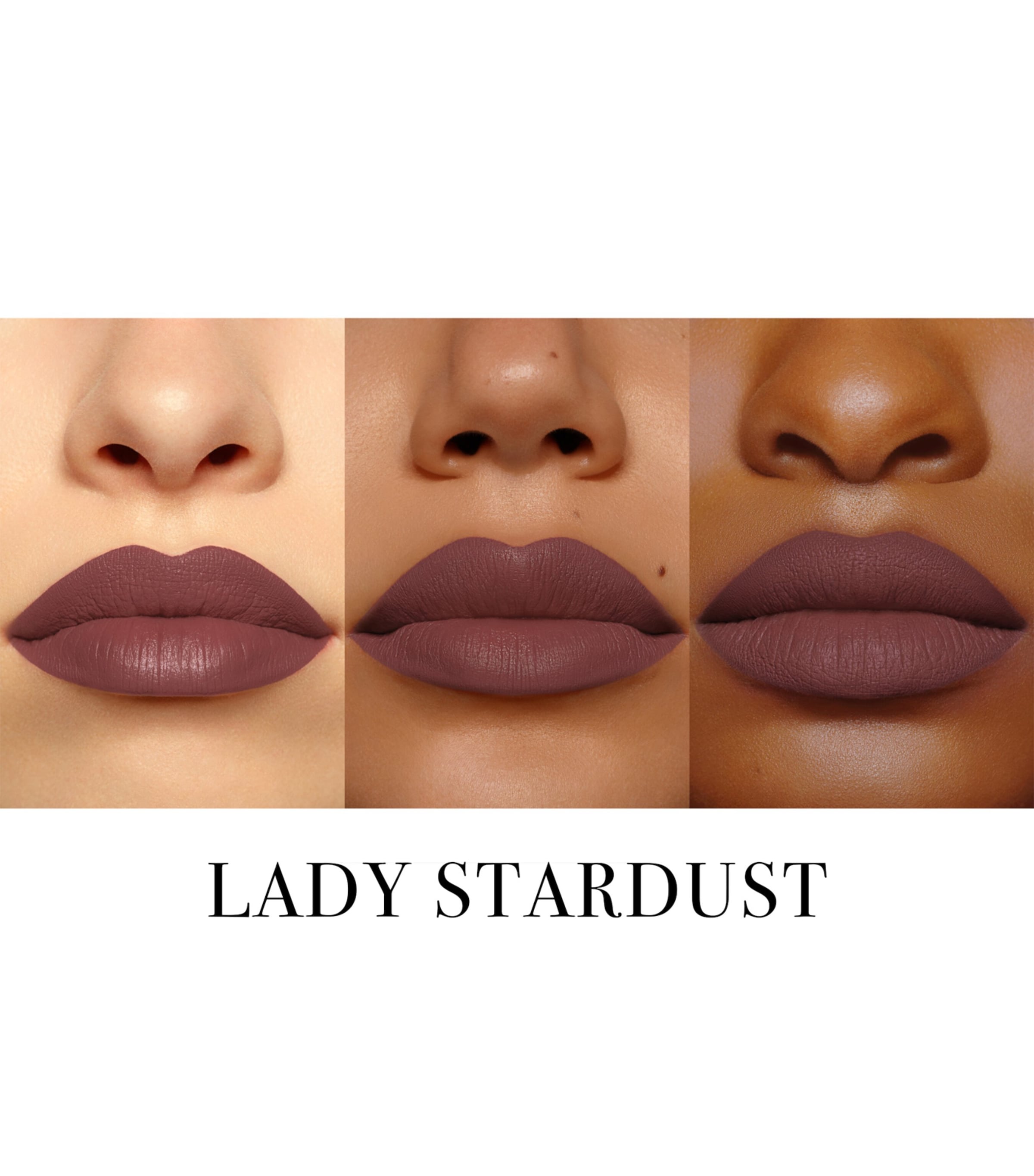 Legendary Longwear Lip Liner LADY STARDUCT Image 2