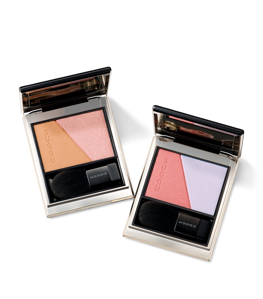 Blurring Colour Blush 110 HISASHIIRO Image 3