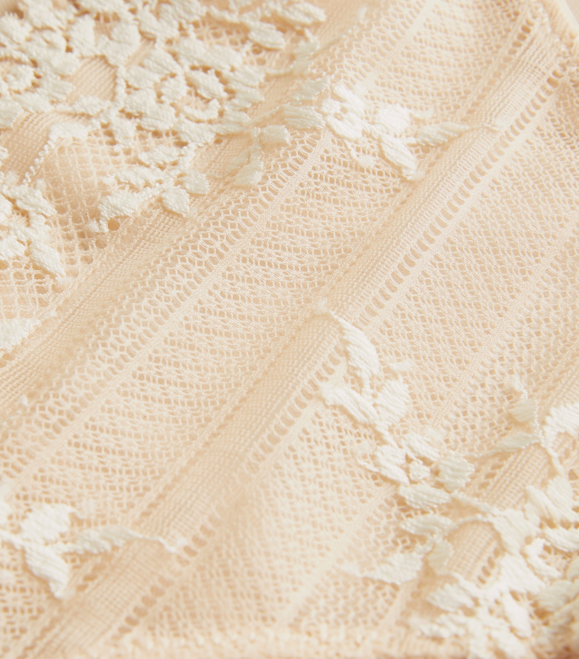 Embrace Lace Bikini Briefs NUDE Image 4