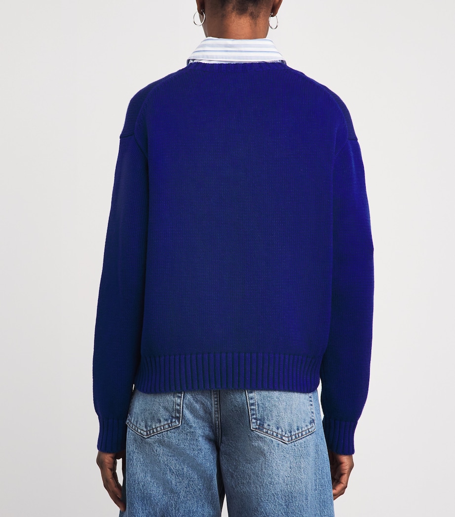 Polo Ralph Lauren Womens Cotton Polo Bear Sweater Sporting Royal Image 5