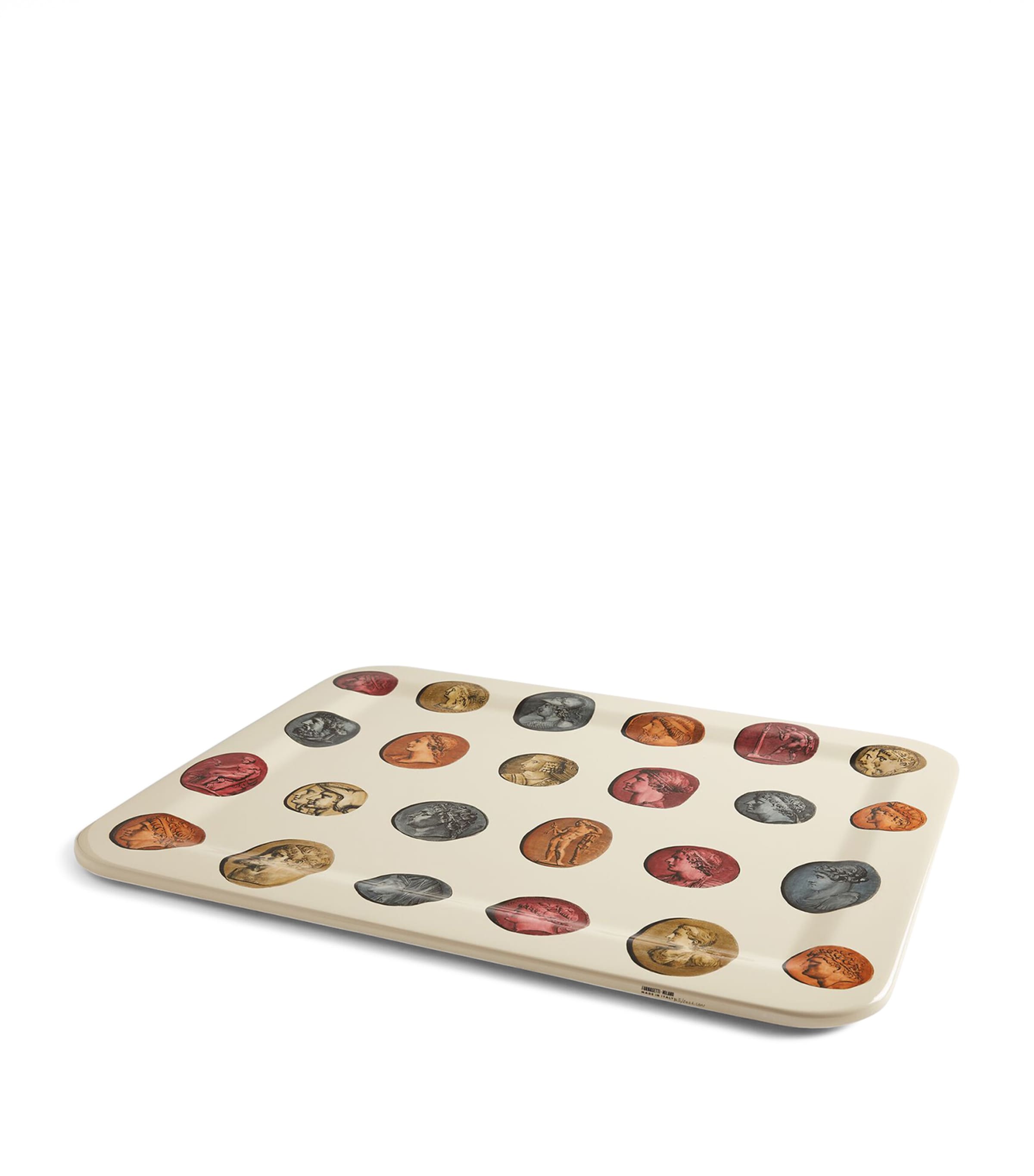 Cammei Tray (48cm x 60xm) MULTI Image 2