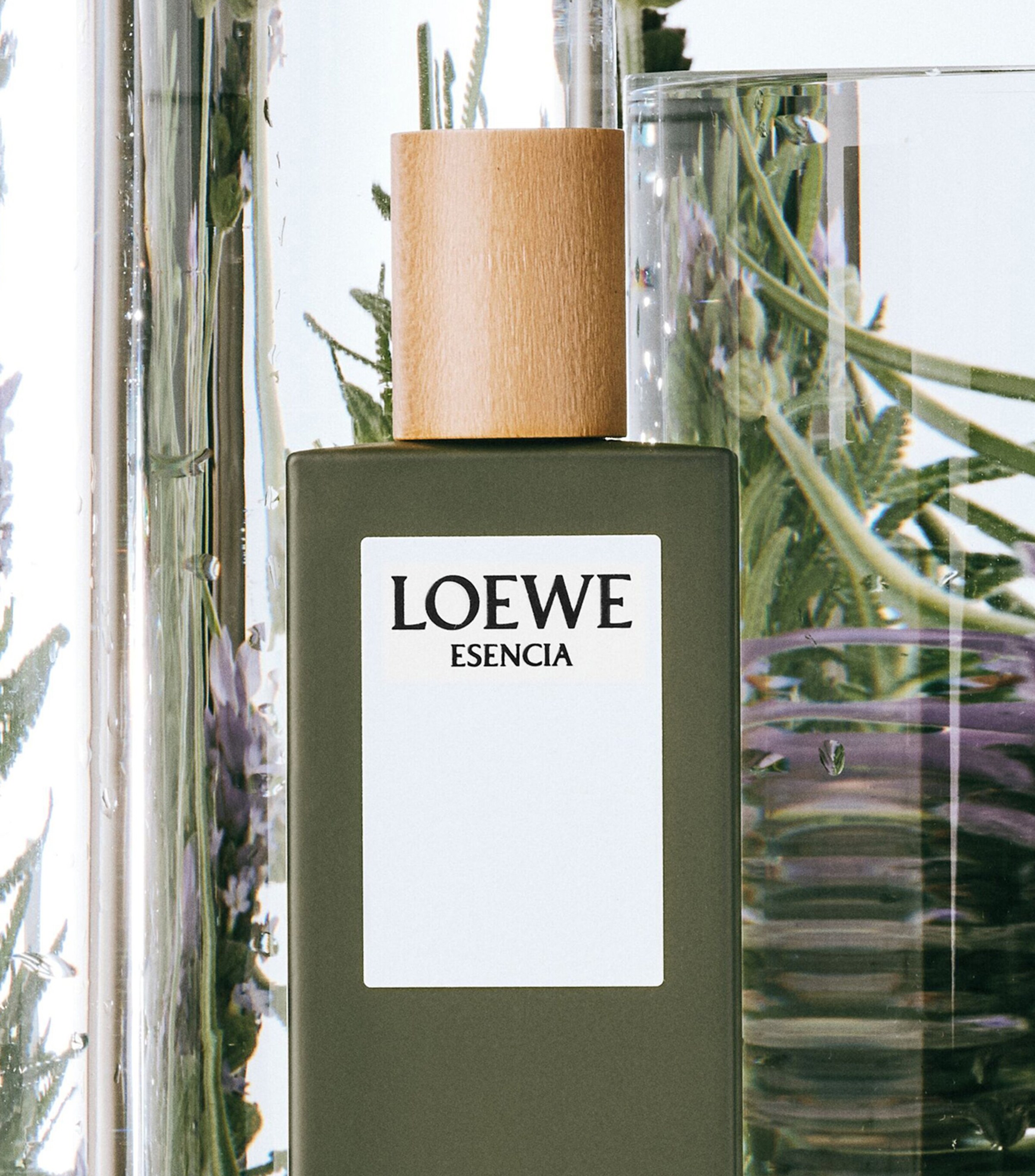 LOEWE Perfumes Esencia Eau de Toilette (50ml) Image 4