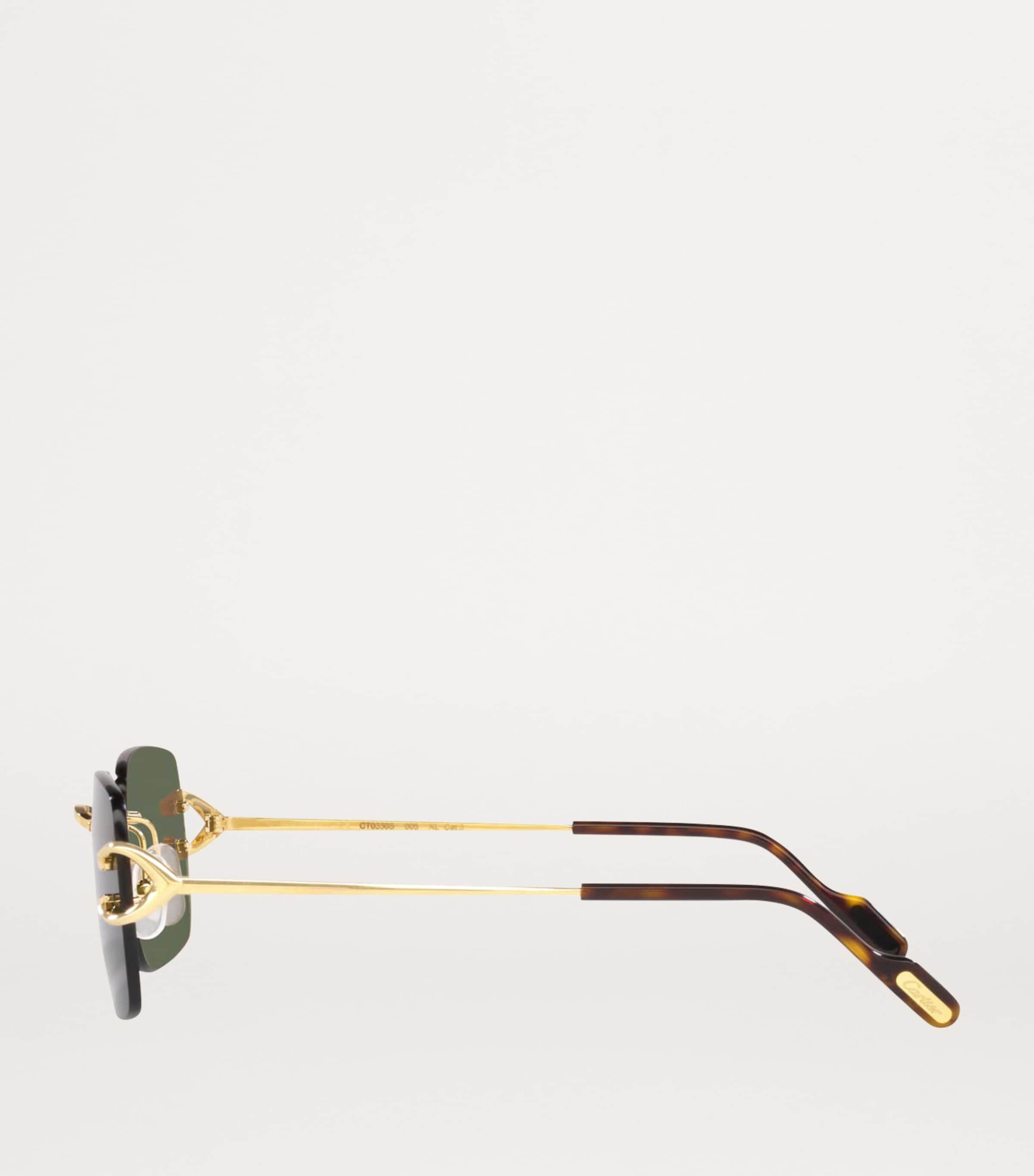 Rectangular Sunglasses 2300I1 Image 3