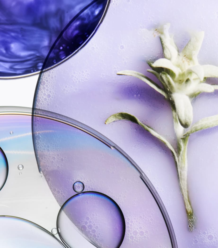 Blond Absolu Ultra Violet Anti-Brass Hair Mask (200ml) NO COLOUR Image 4