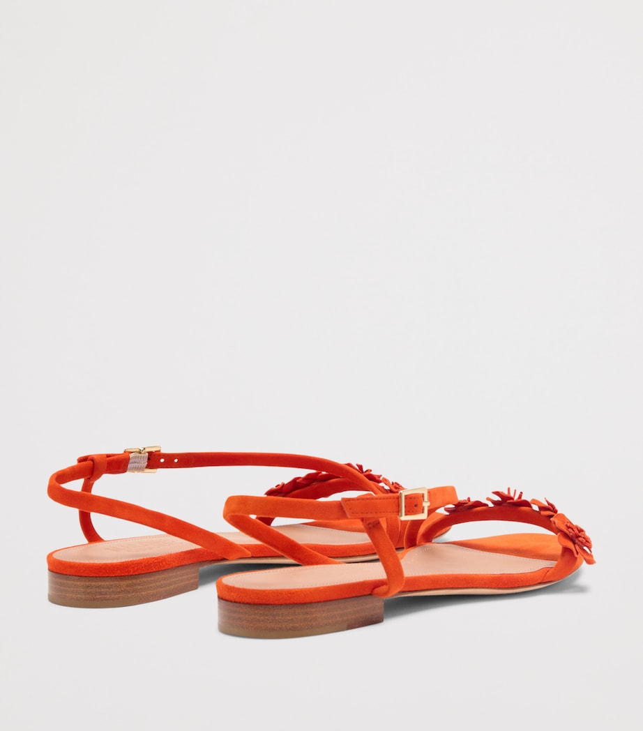 Malone Souliers Suede Serra Sandals Marigold Image 4