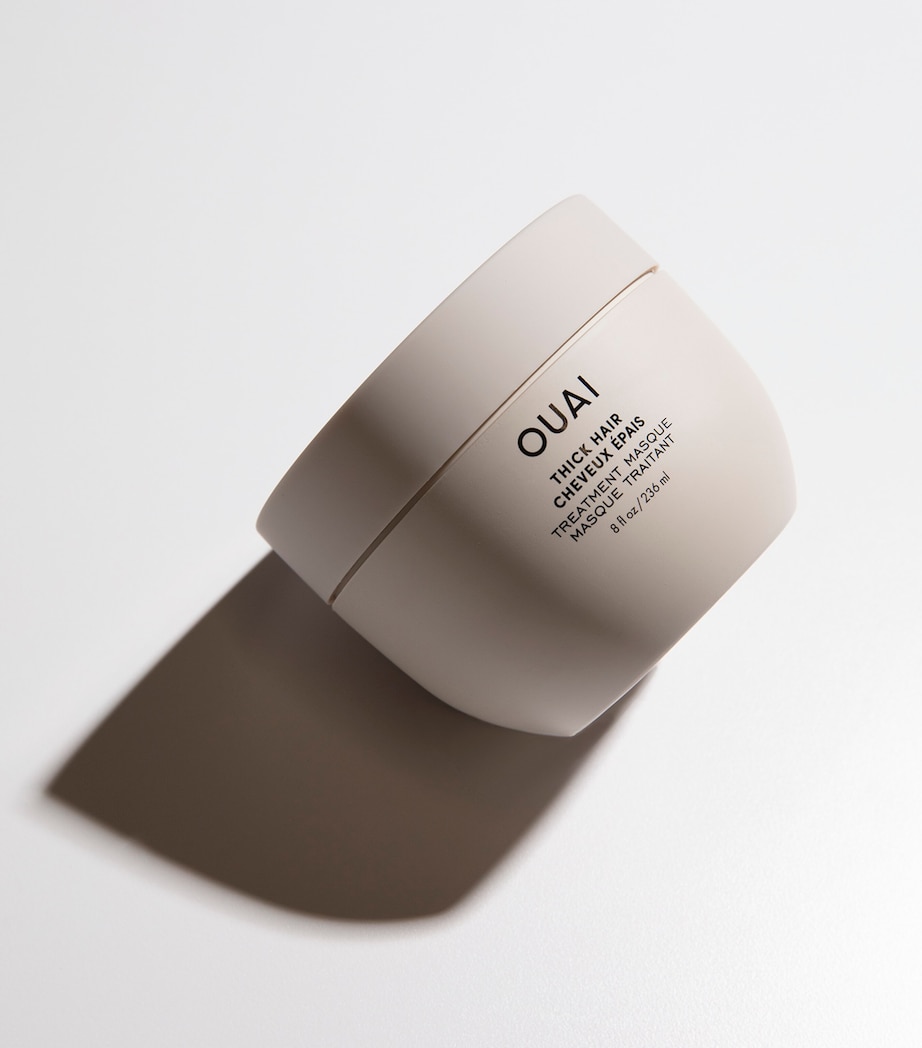 Thick Hair Treatment Masque (236ml) NO COLOUR Image 2