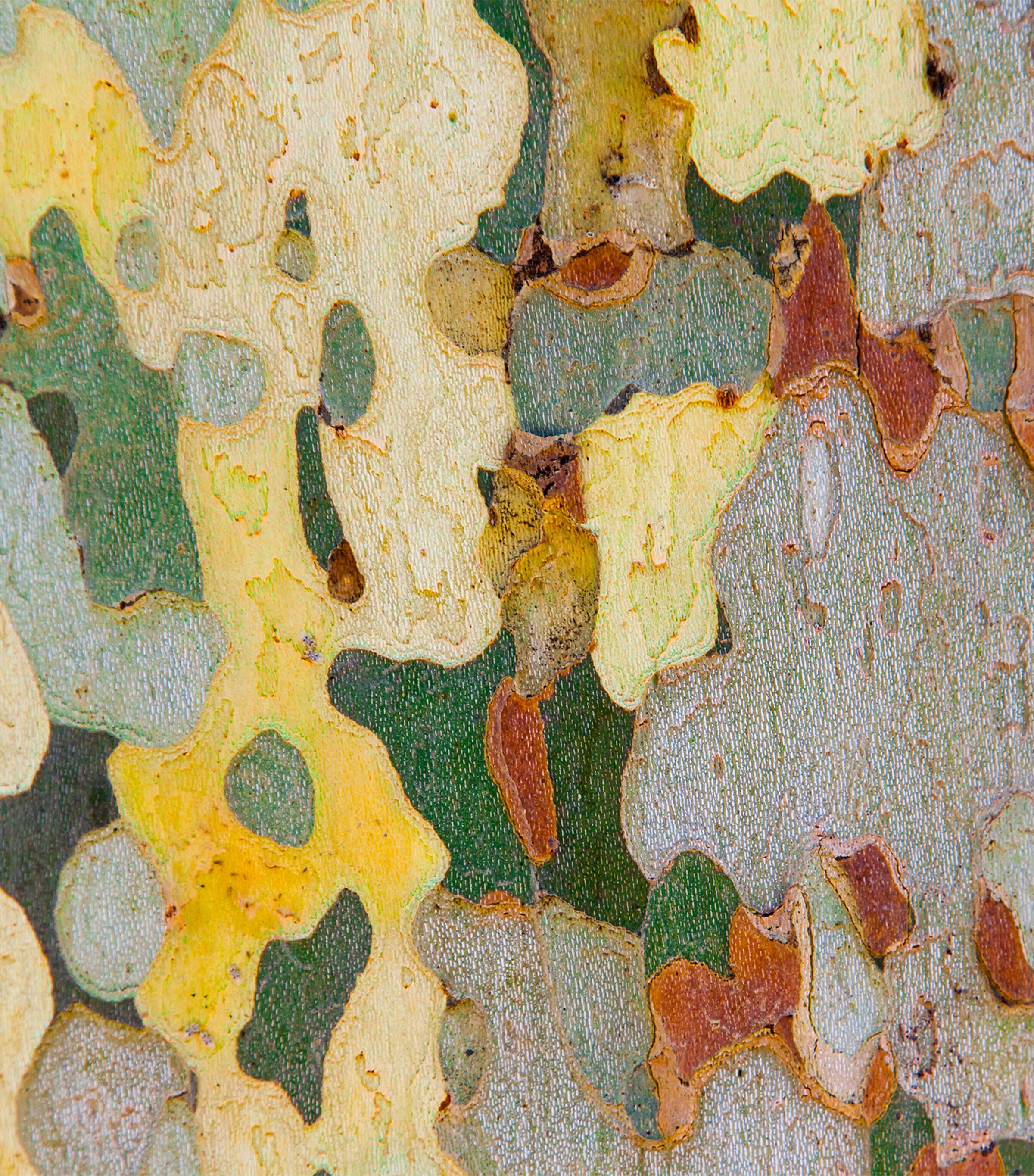 Bois Datchaï Eau de Parfum (100ml) NO COLOUR Image 6