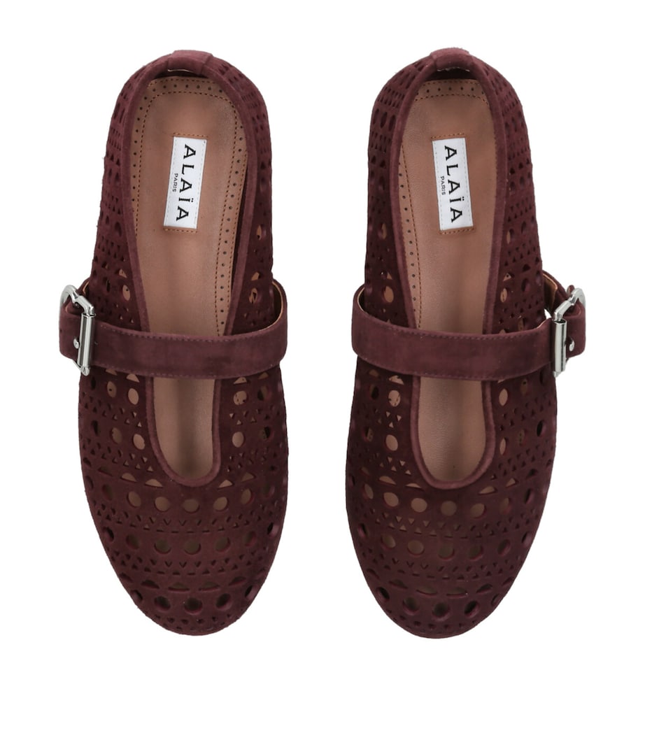 Suede Vienne Ballet Flats WINE Image 4