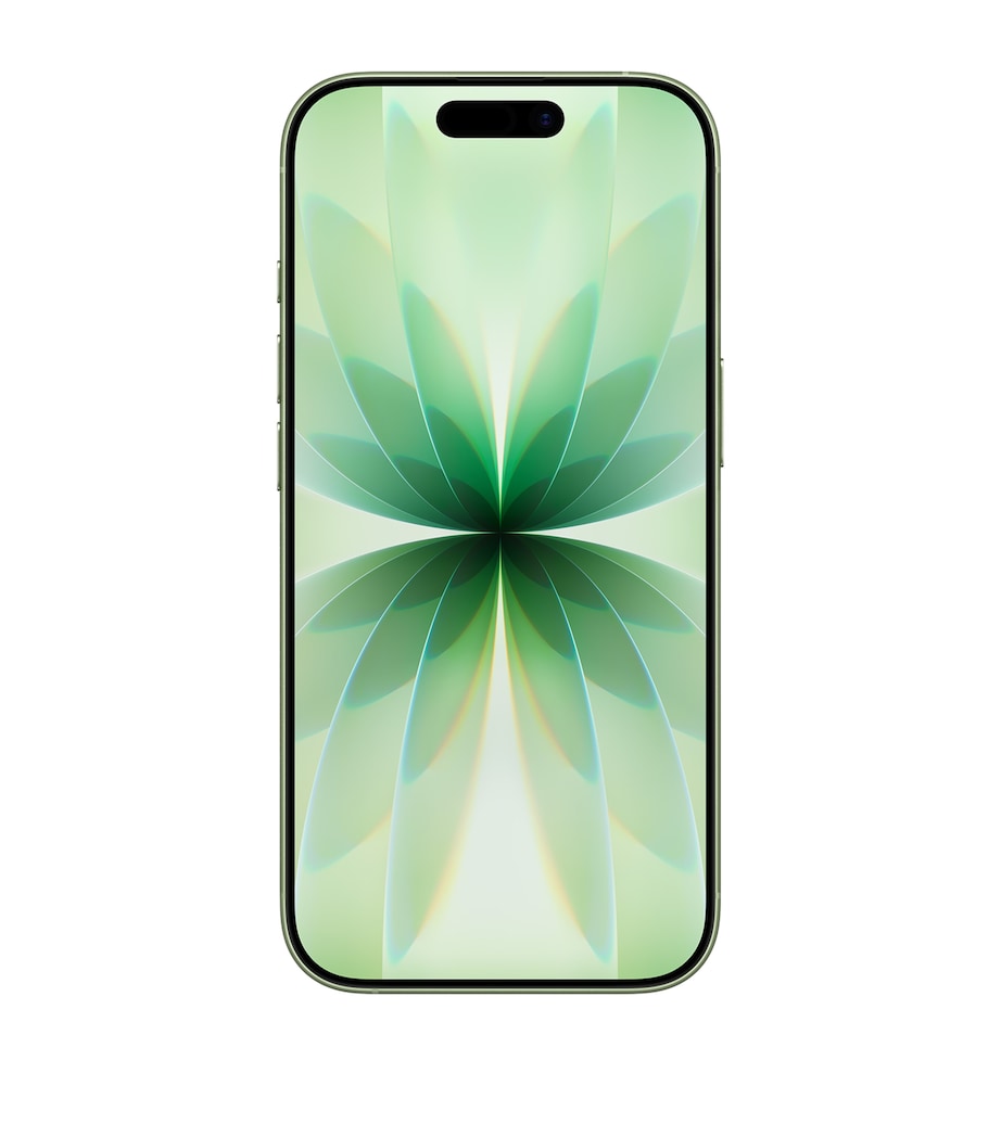 iPhone 17 256GB - Sage SAGE Image 2