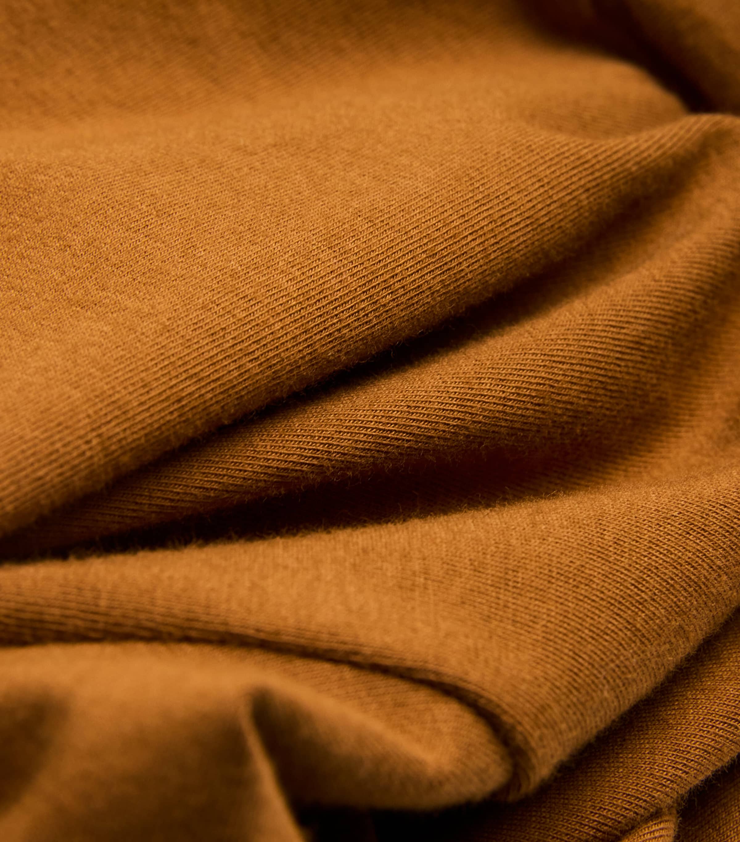 Cotton Jersey Short-Sleeve T-Shirt CHAI Image 5