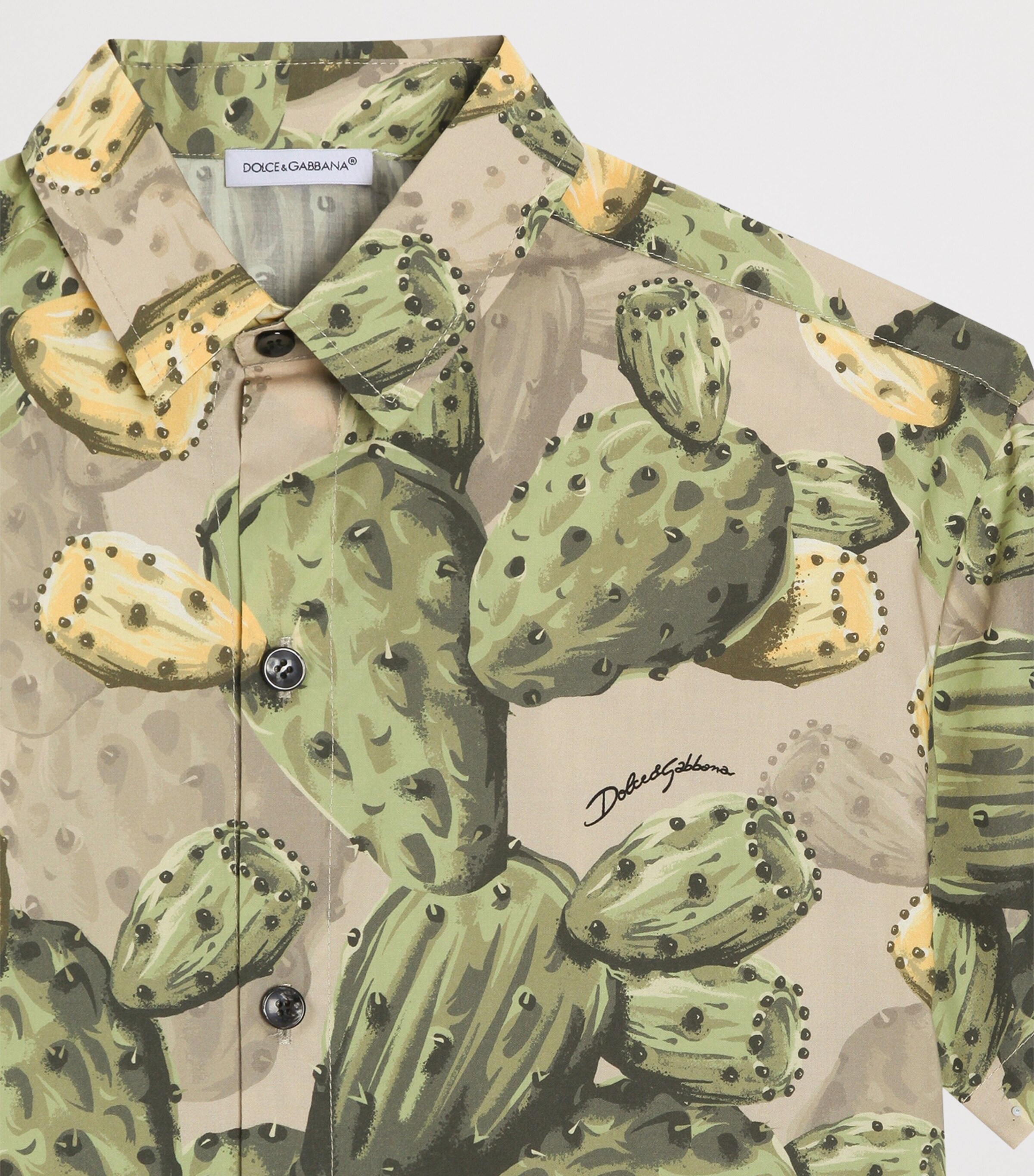 Dolce&Gabbana Kids Cotton Printed Shirt (8-12+ Years) Fichi Fdo Pann Image 3