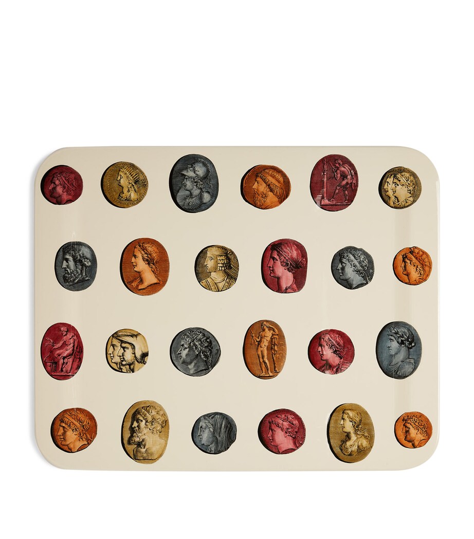 Cammei Tray (48cm x 60xm) MULTI Image 1