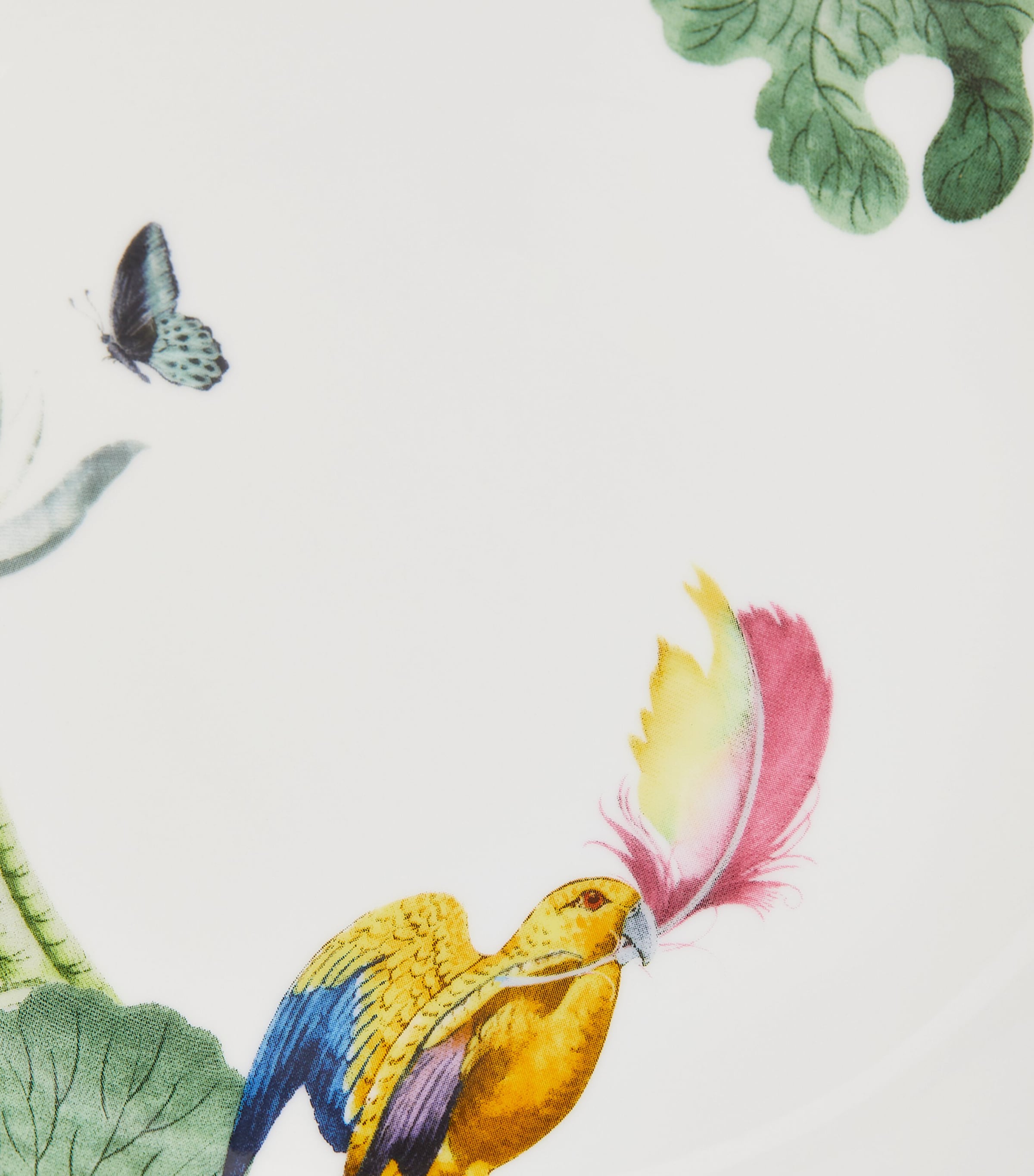 Wonderlust Waterlily Plate (17cm) MULTI Image 3