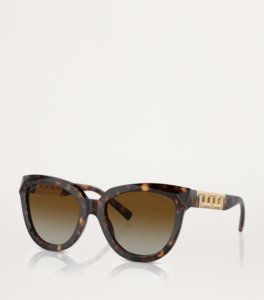 Acetate Cat Eye Sunglasses 8015T5 Image 2