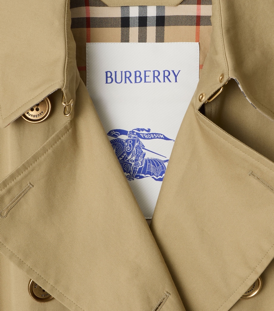 Gabardine Long Waterloo Trench Coat HAMPER Image 5