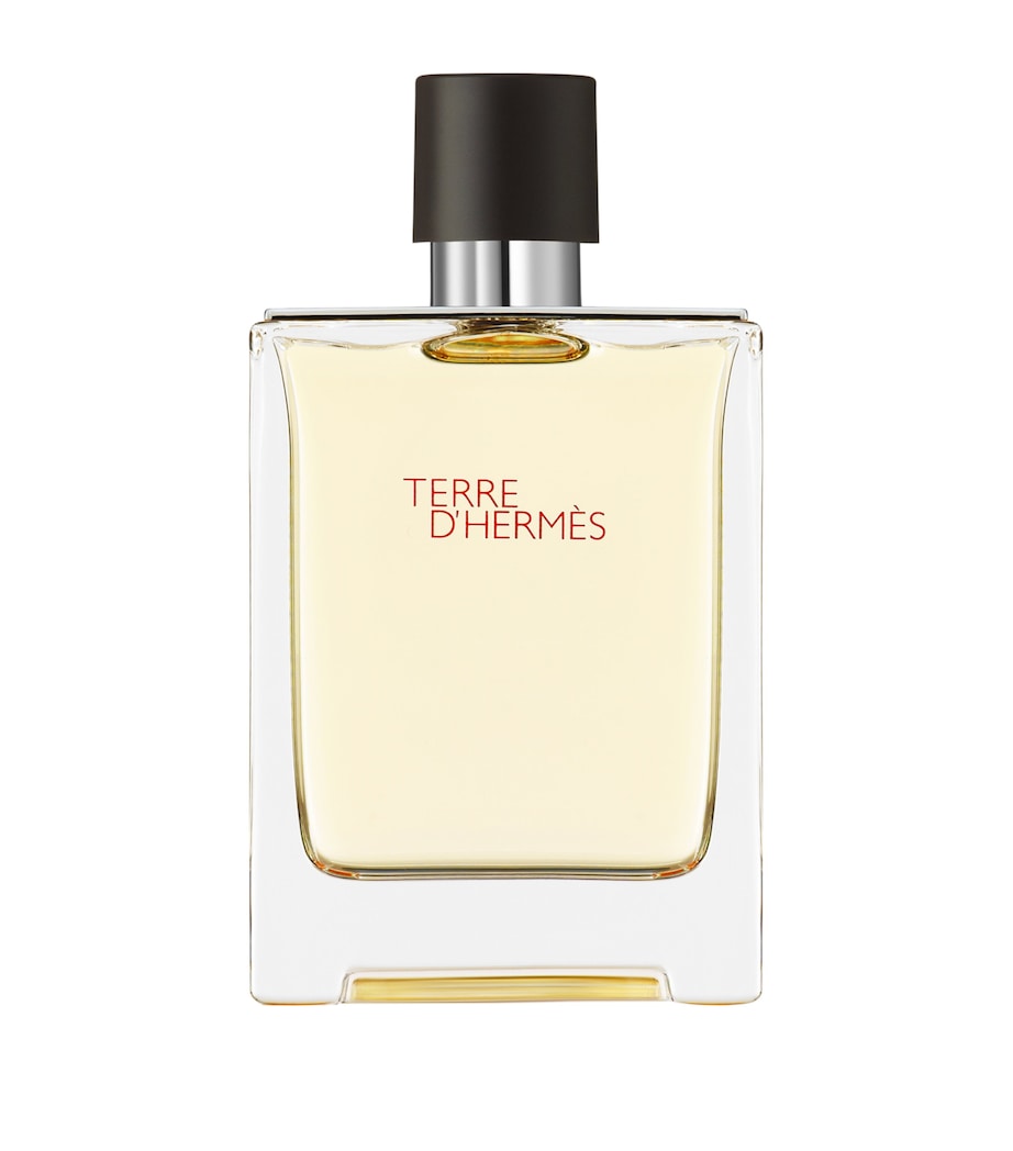 Terre d’Hermès Eau de Toilette (100ml) NO COLOUR Image 2