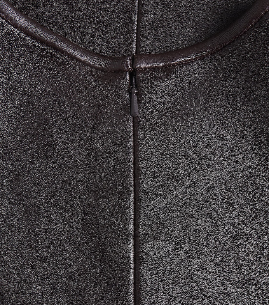 Lambskin Panelled Mini Dress 2P5-PLUM BROWN Image 5