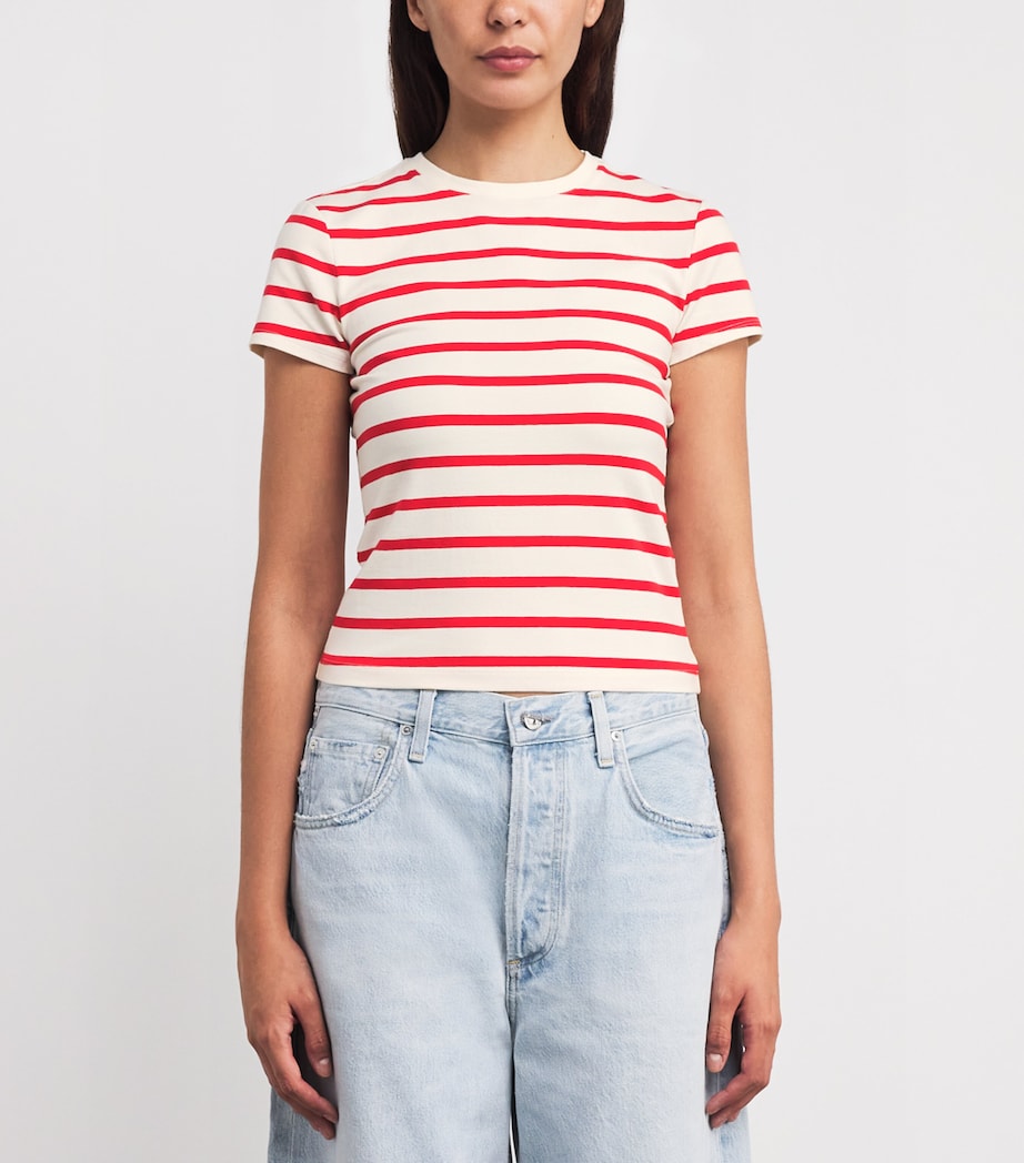 Super-Stretch Baby T-Shirt ECRU & CHILI STRIPE Image 3