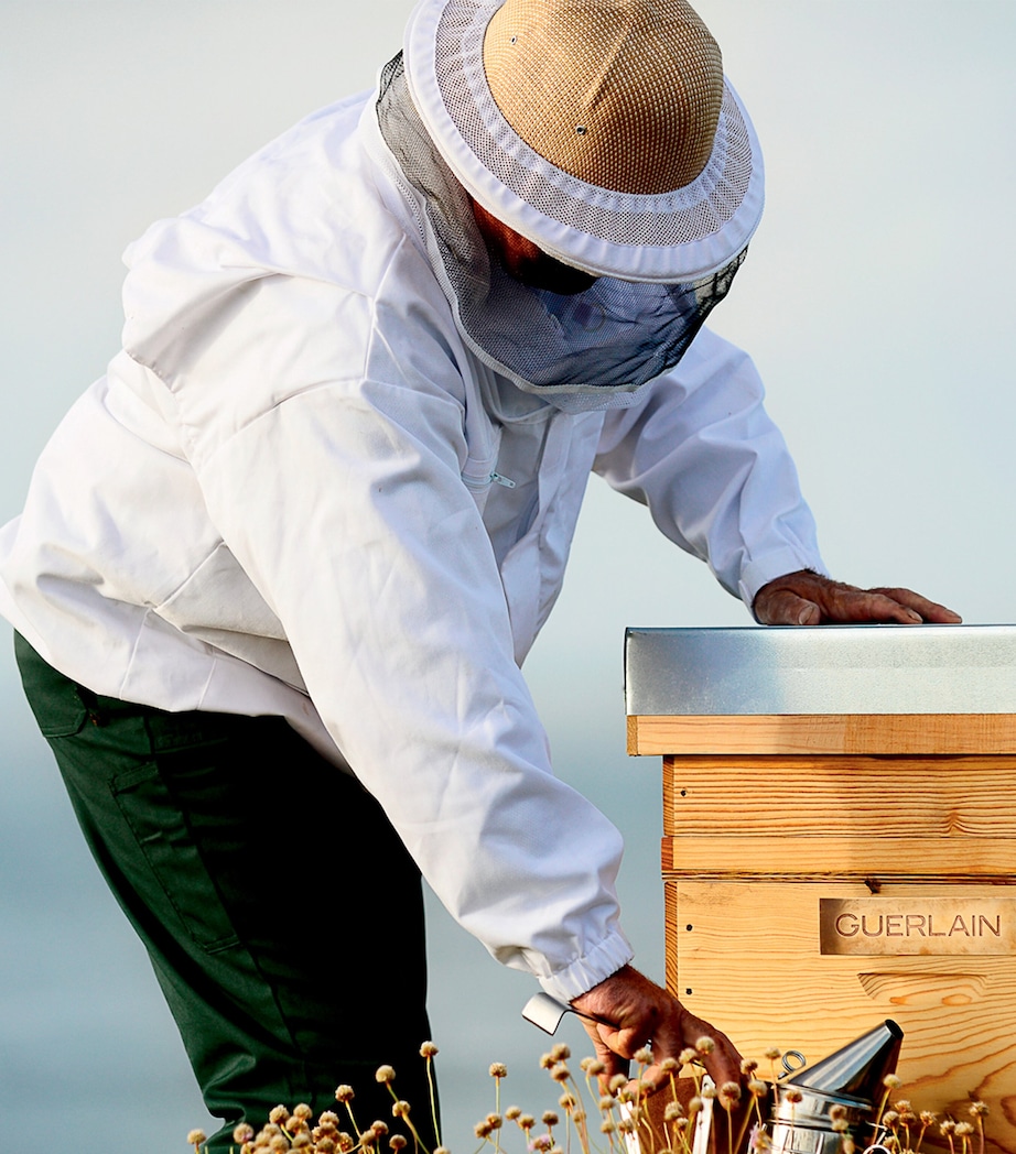 Abeille Royale Double R Renew & Repair Serum (50ml) NO COLOUR Image 8