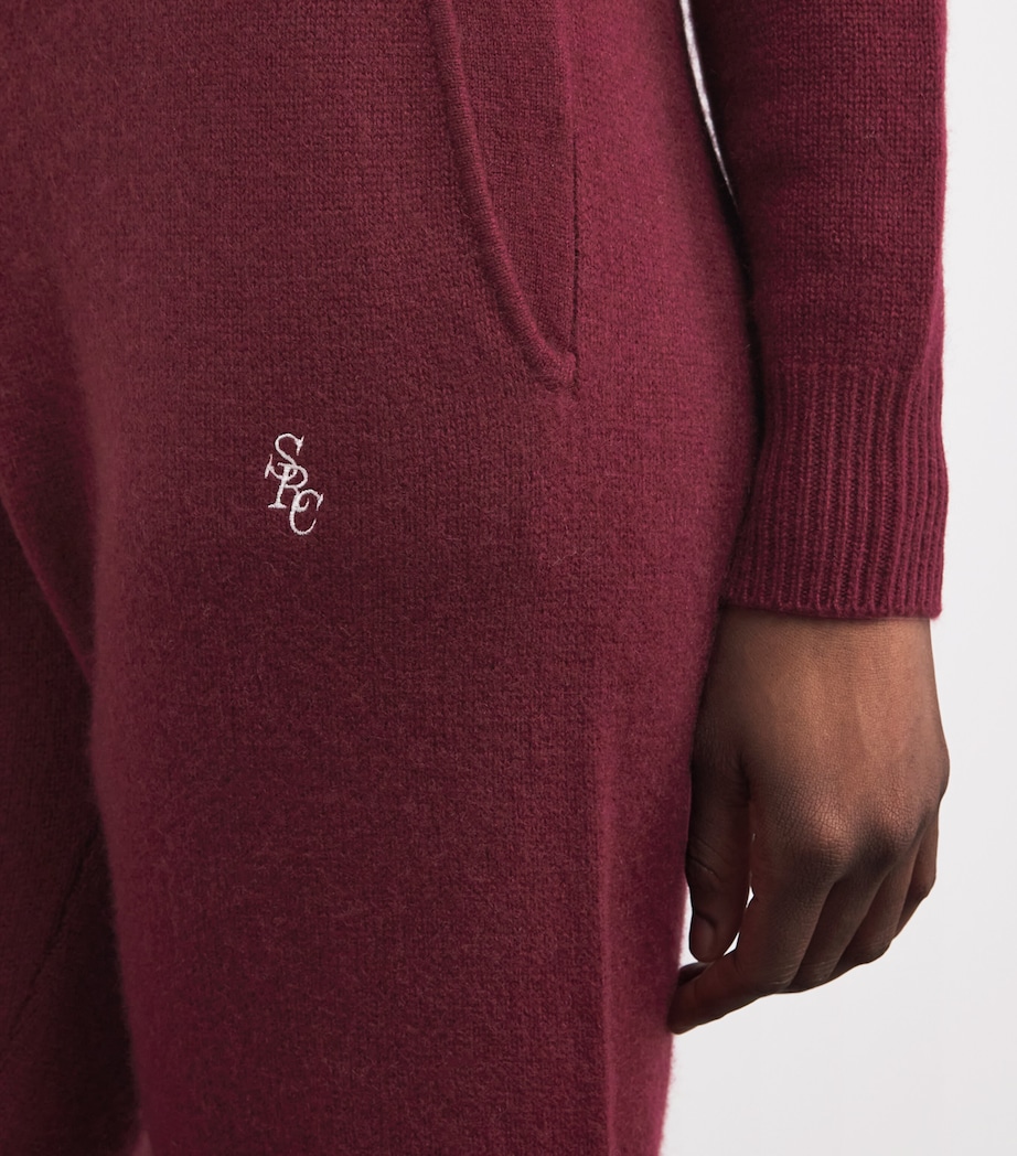 Cashmere-Wool SRC Trousers 27 MERLOT Image 6