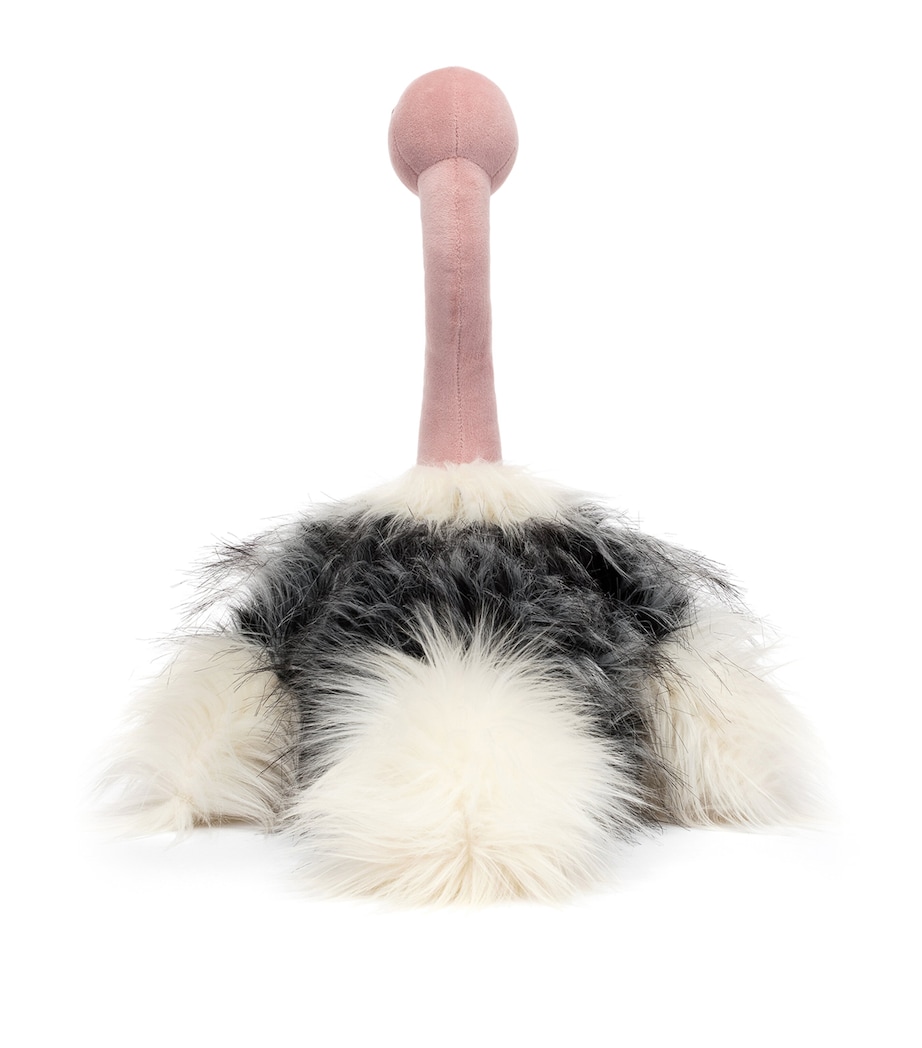 Ramonda Ostrich MULTI Image 3