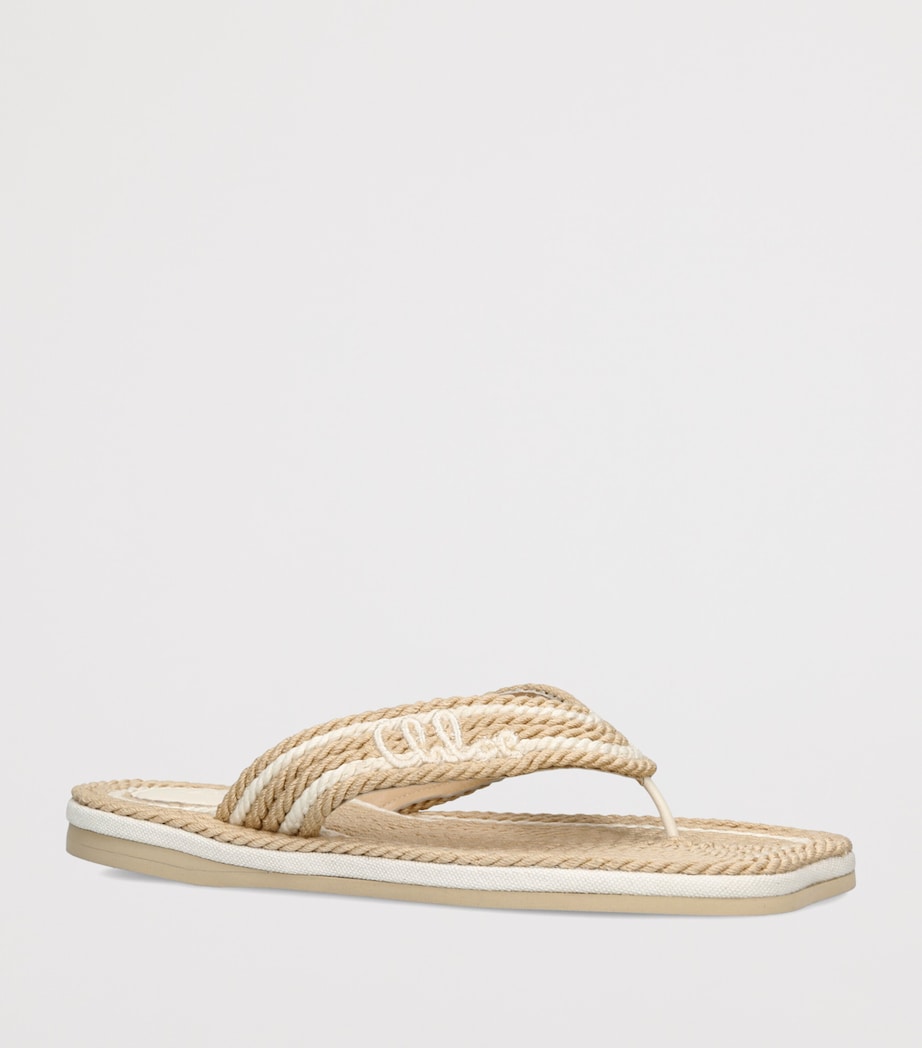 Chloé Raffia Logo Thong Sandals White/comb Image 2