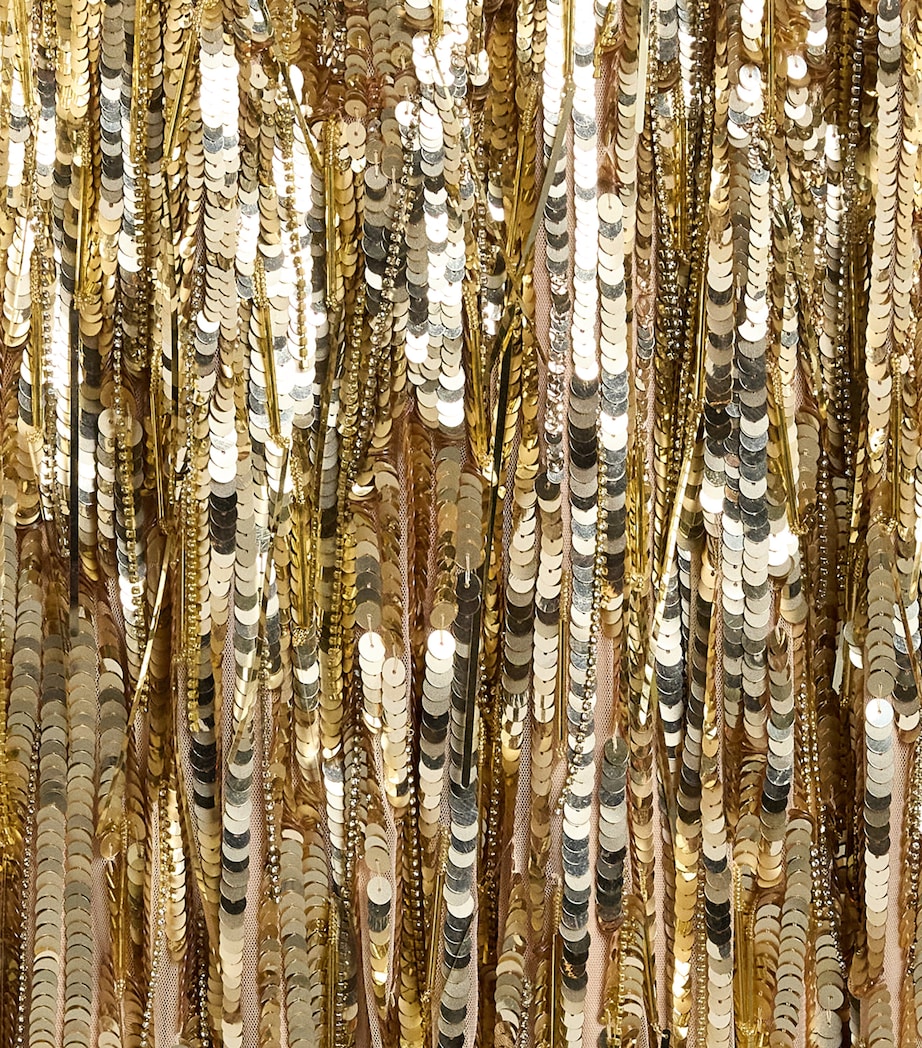 Jenny Packham Womens Embellished Kimi Gown Illusion Image 2