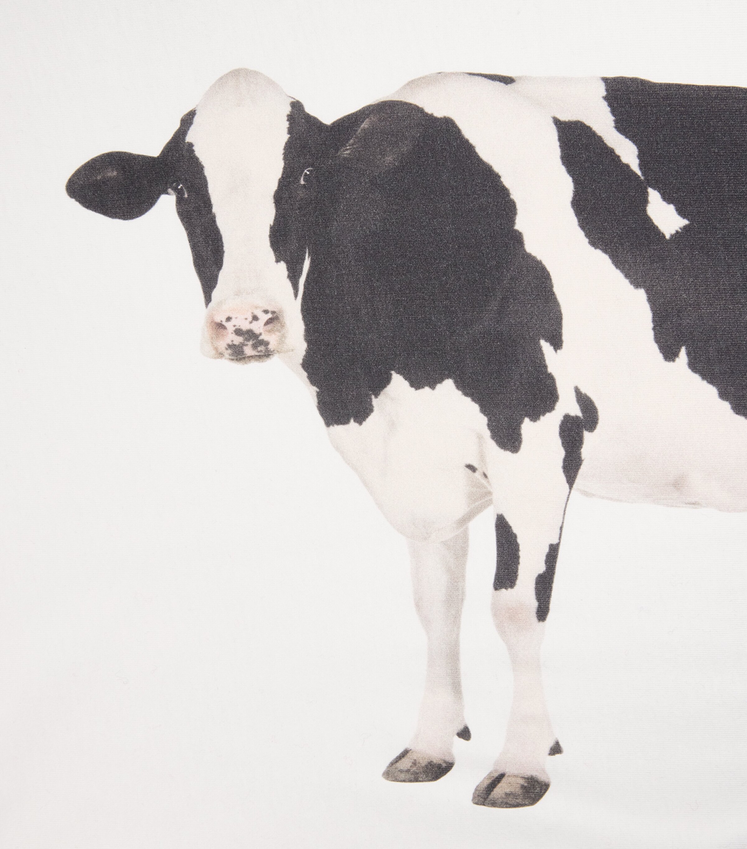 x Paul Smith Cotton Cow Print T-Shirt WHITE Image 5